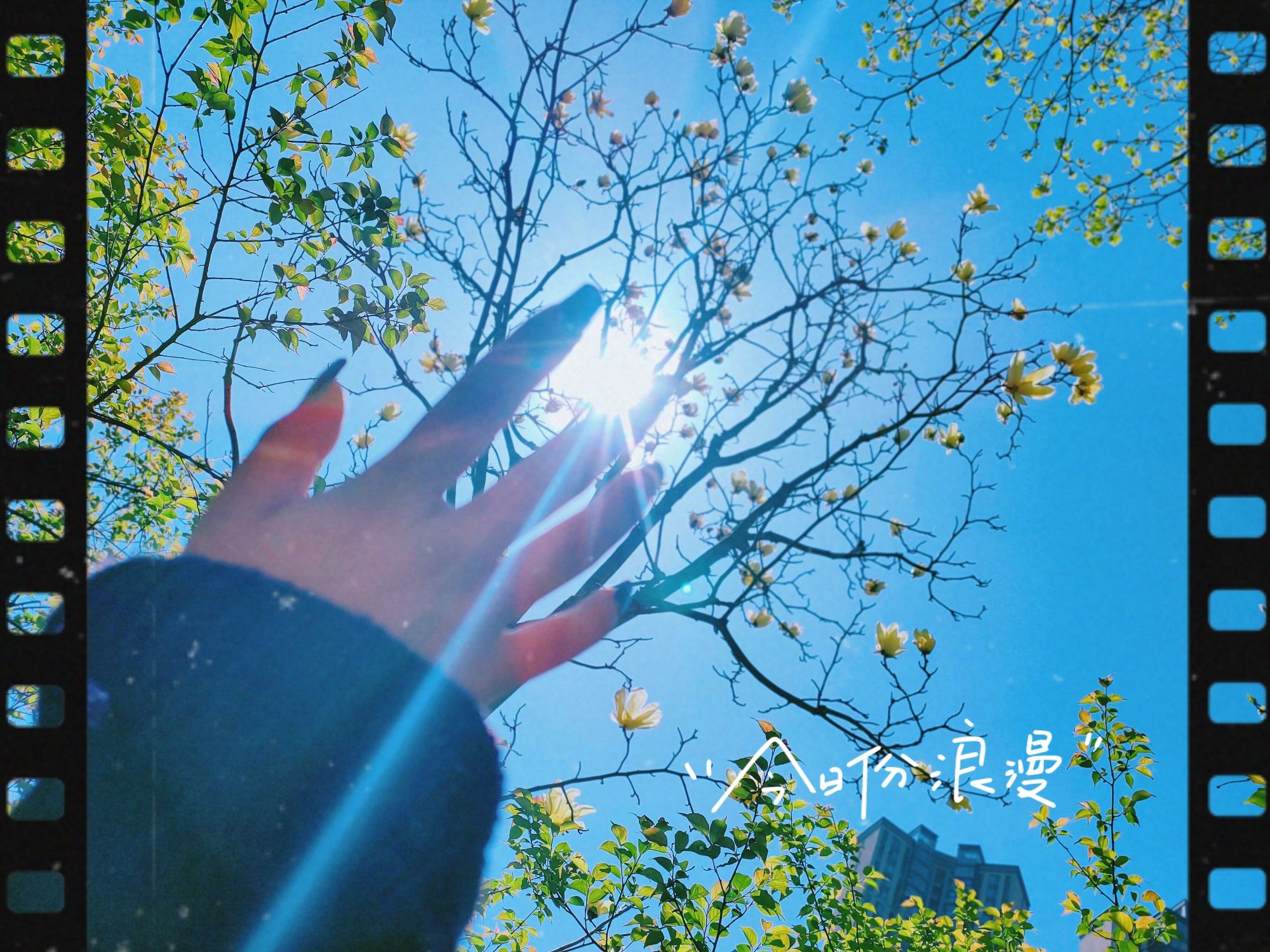 龙王港风光带旅行图片 3