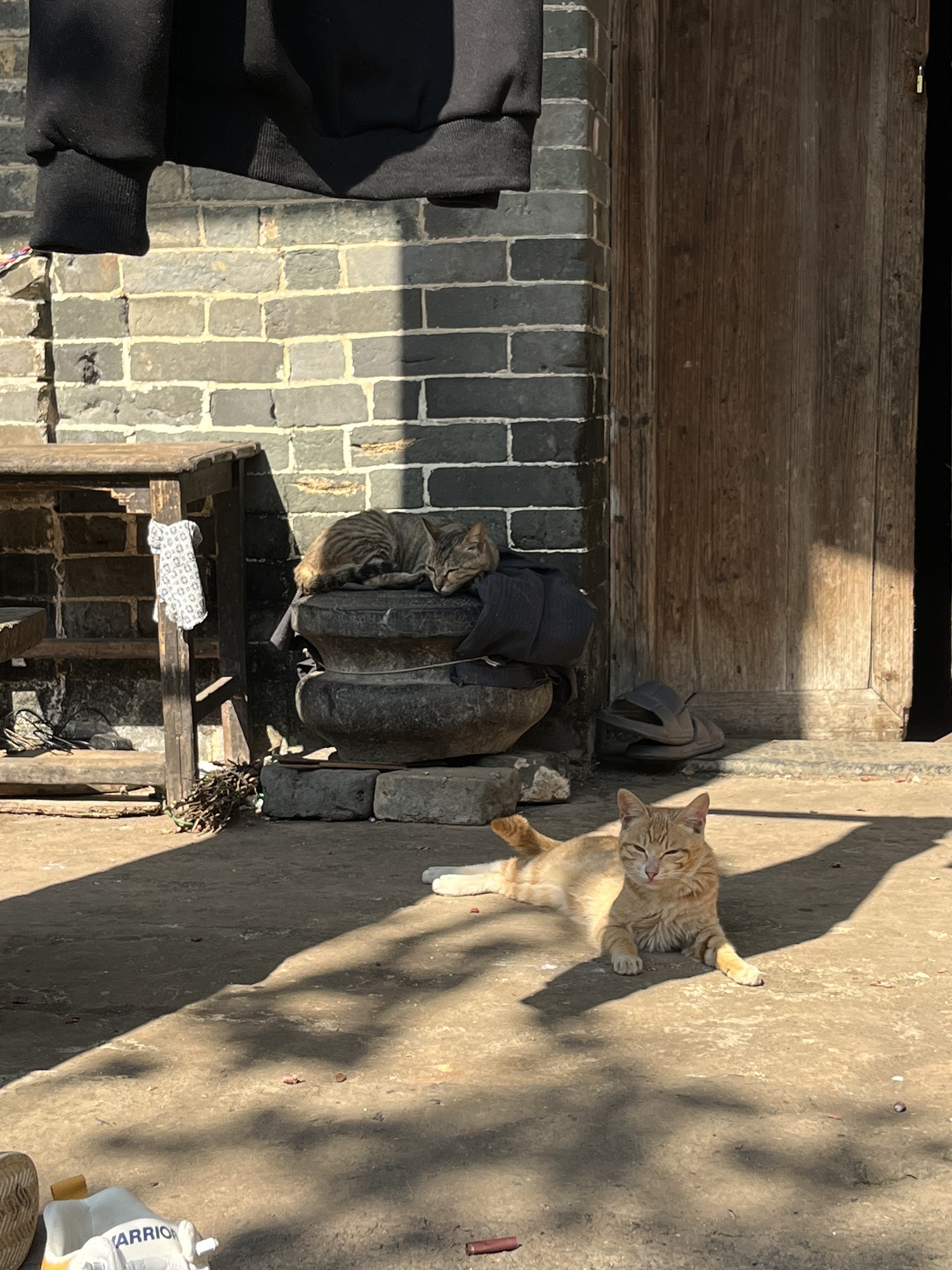 将军第旅行图片 2