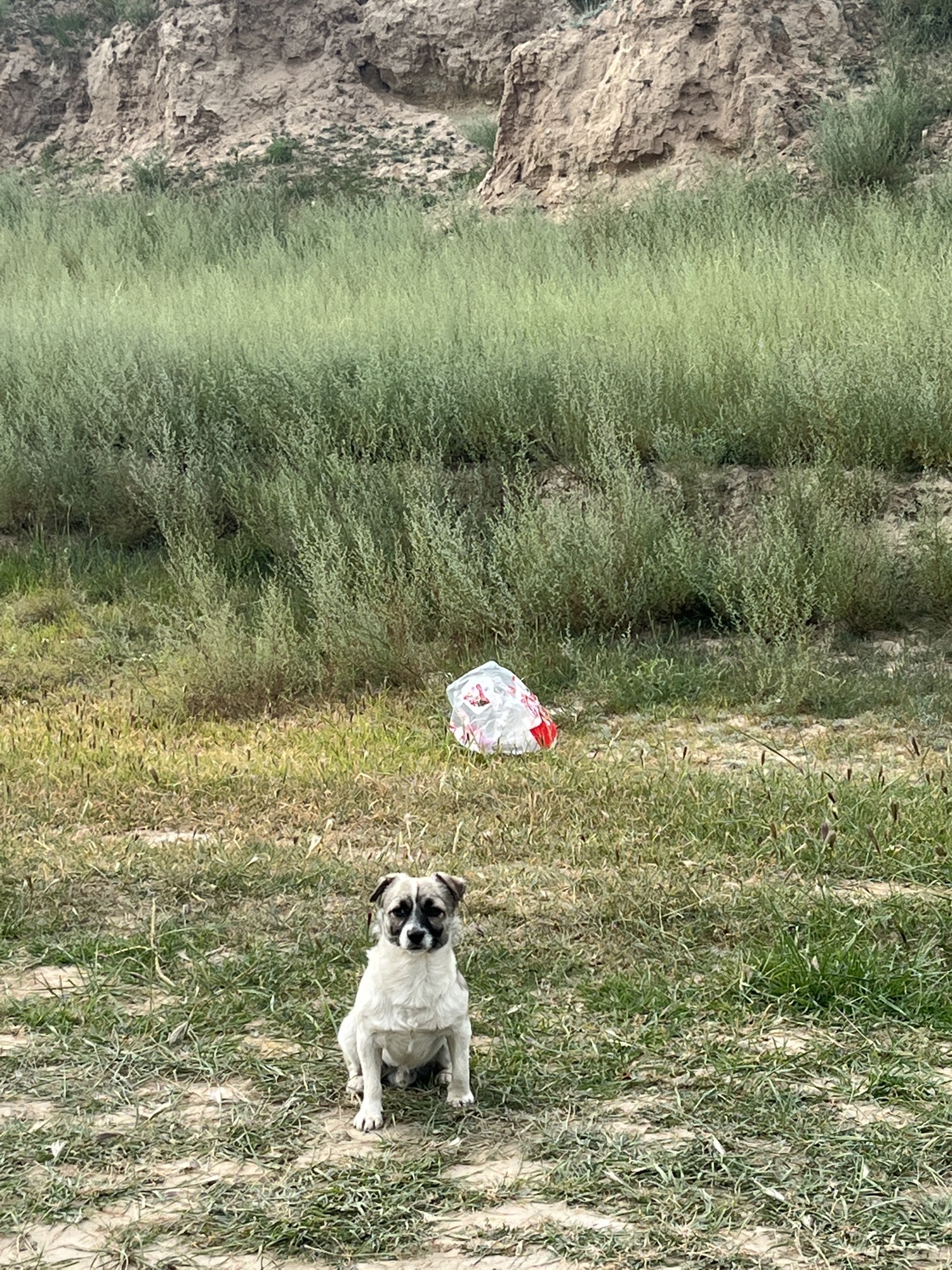 桑干湖生态旅游区旅行图片 2