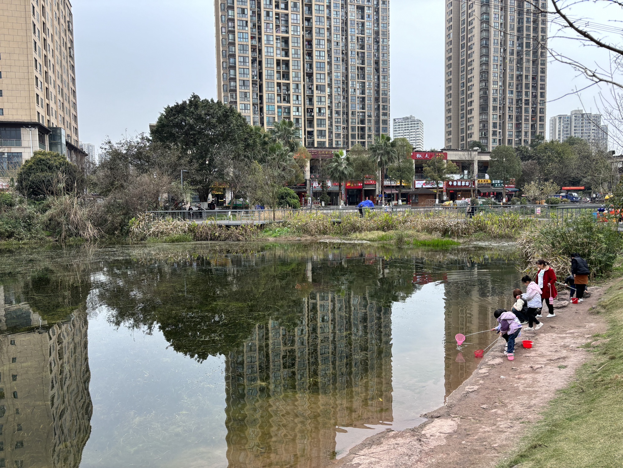 西城的湖湿地公园旅行图片 3
