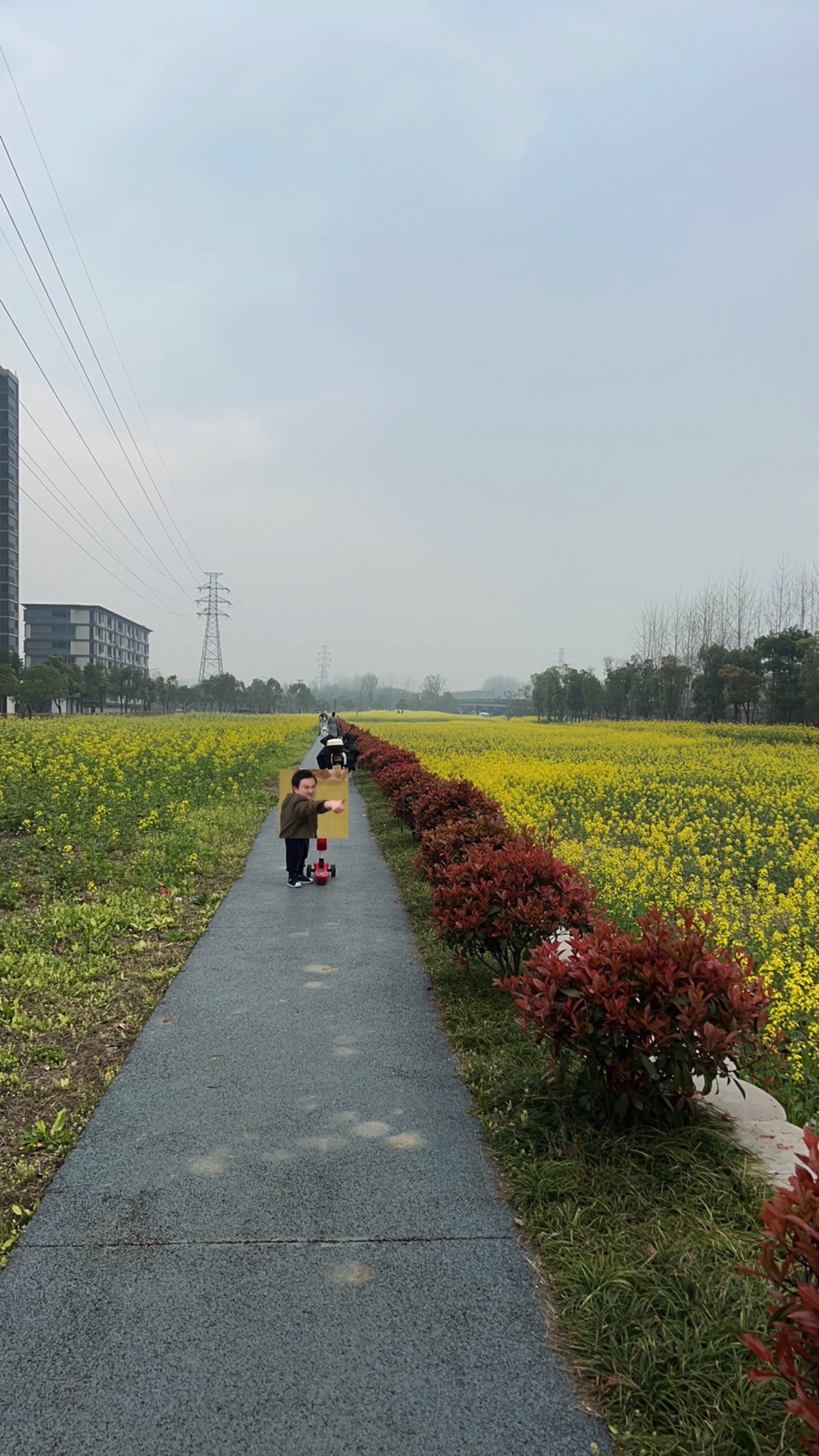 水岸崇园旅行图片 3