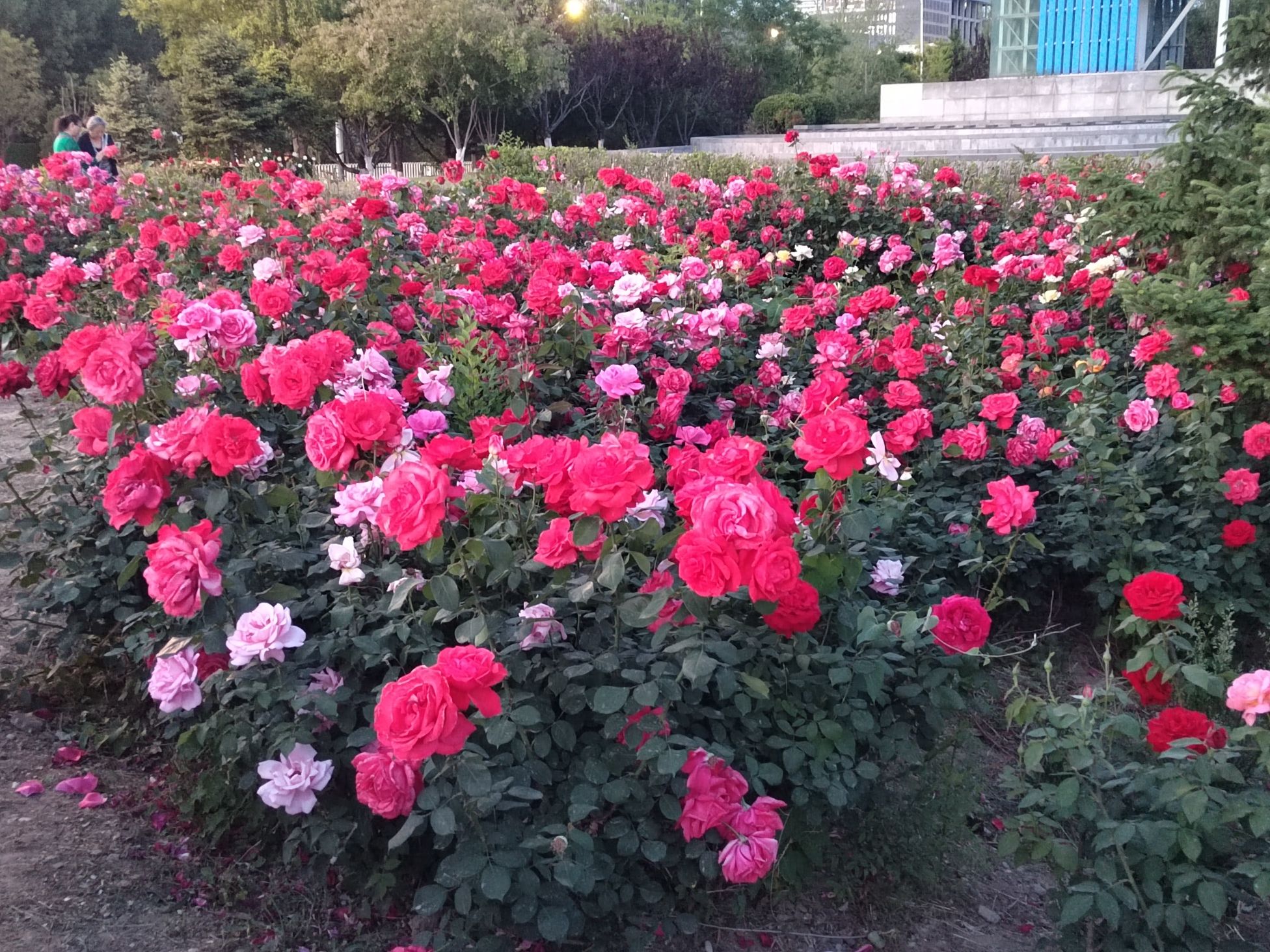 石门营文化公园旅行图片 1