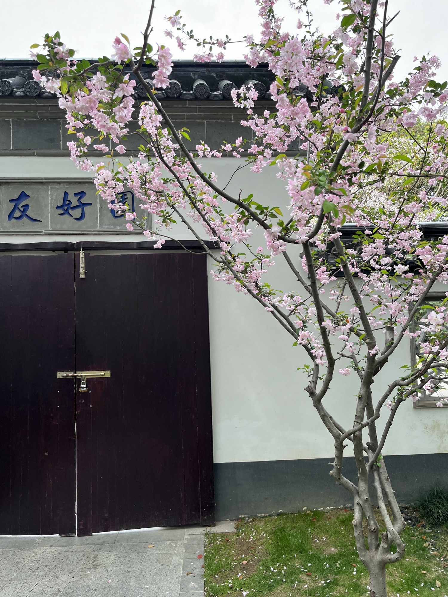 友好园旅行图片 2