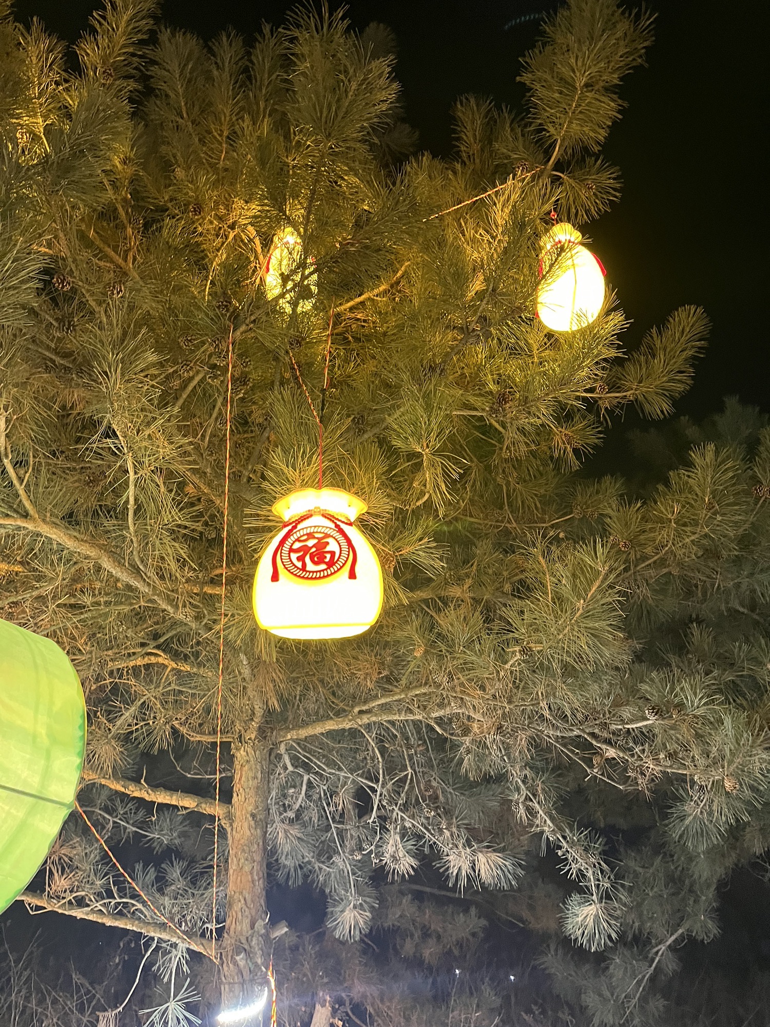 北镇庙公园旅行图片 3