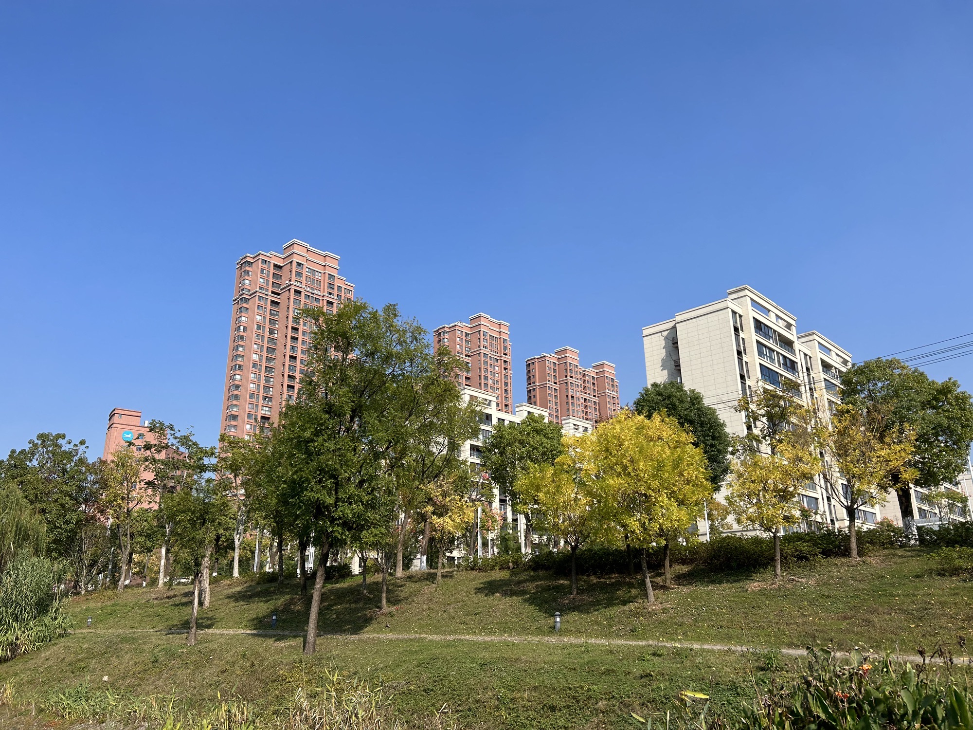 三角公园旅行图片 1