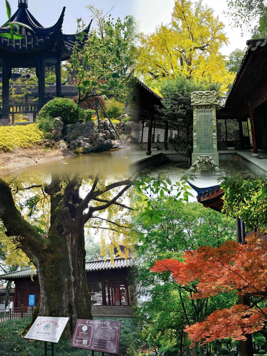 新塍古镇旅行图片 1