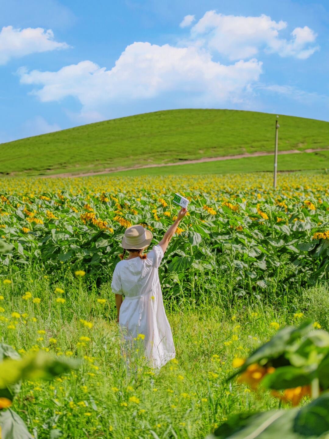 闪电湖景区京北湿地草原(暂停开放)旅行图片 2