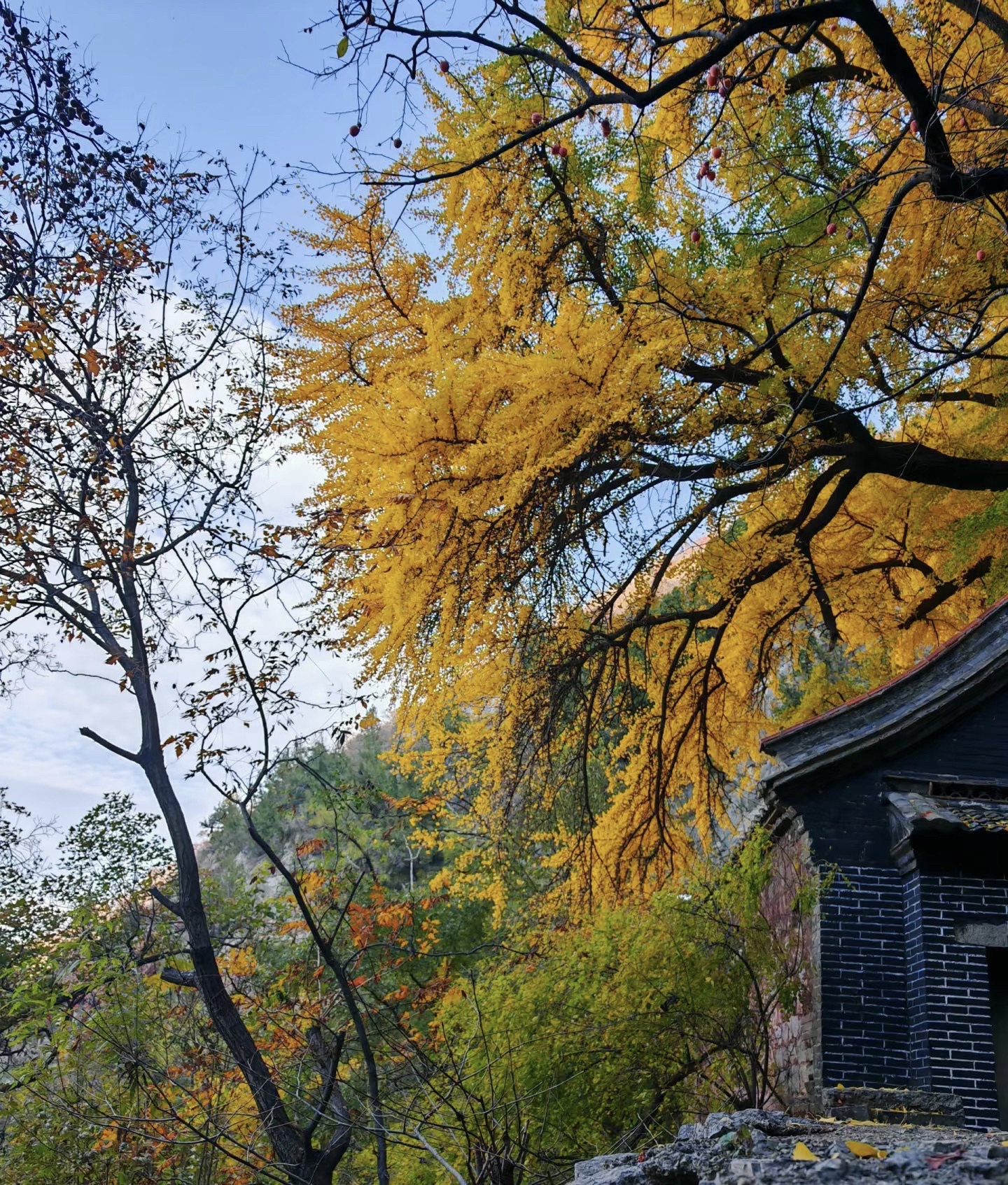 白石洞旅游风景区旅行图片 3