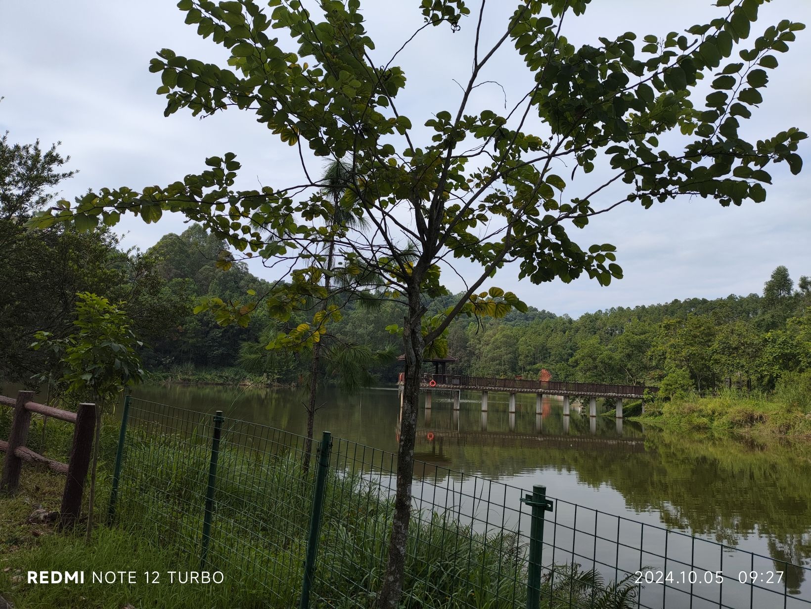 博罗东山省级森林公园旅行图片 1