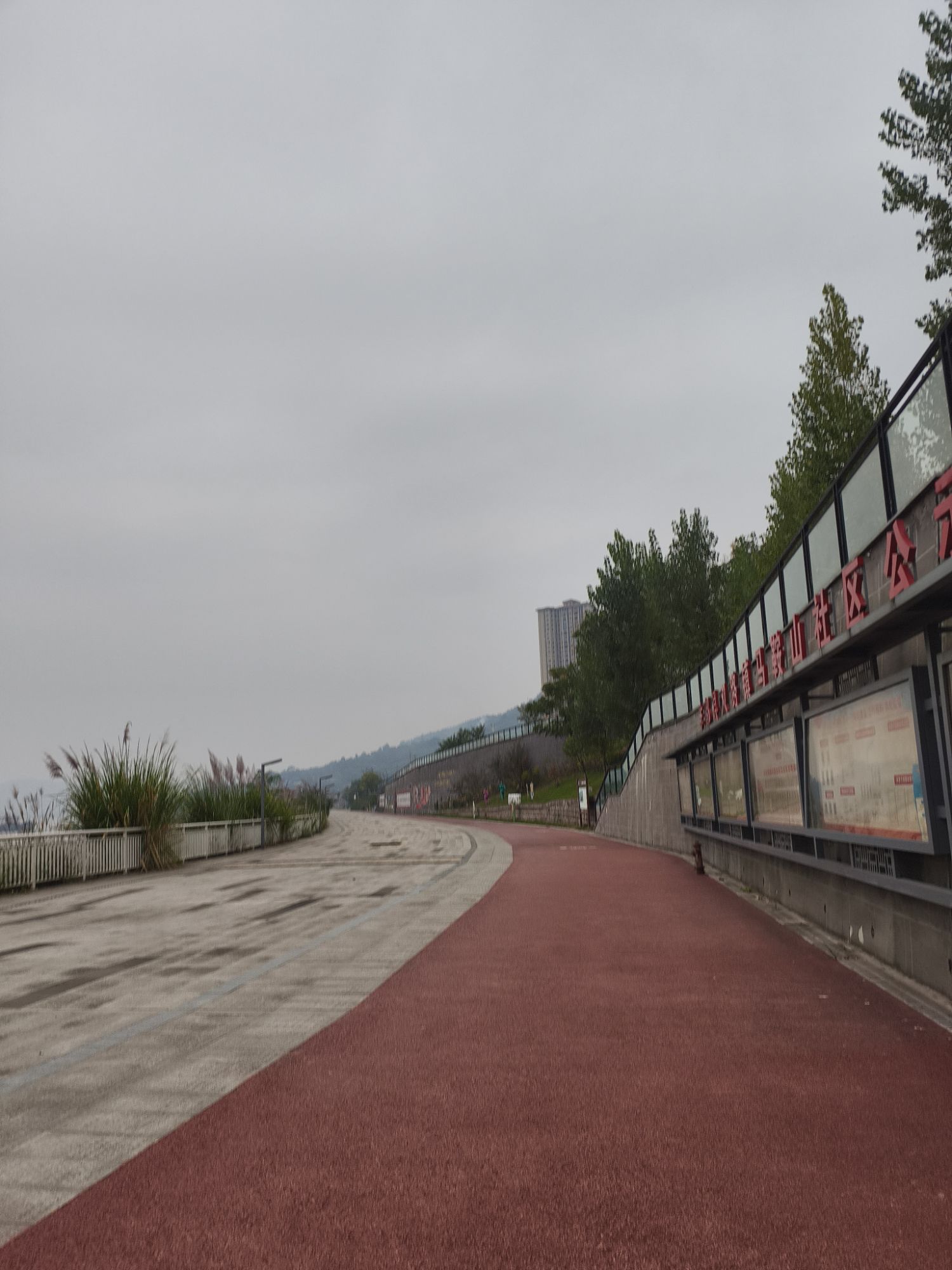 龙河新城滨江公园旅行图片 1