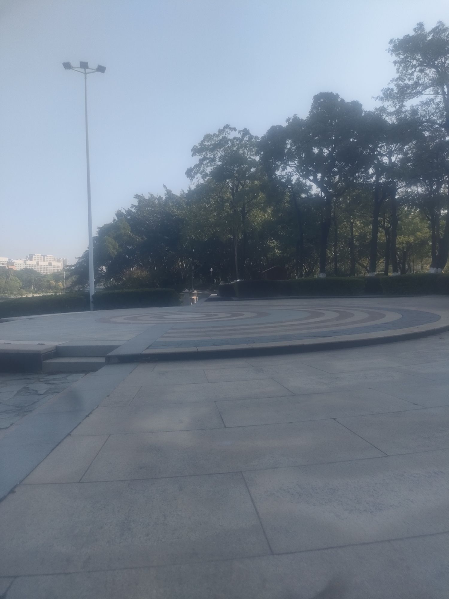 江滨公园旅行图片 3