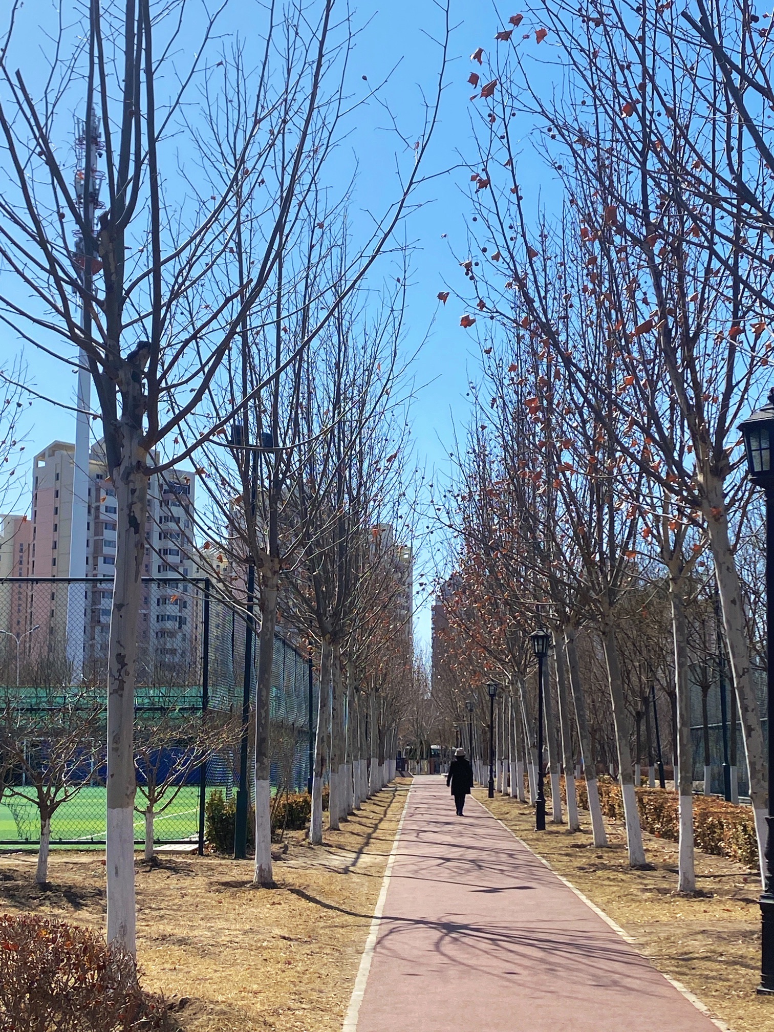 津南体育公园旅行图片 2