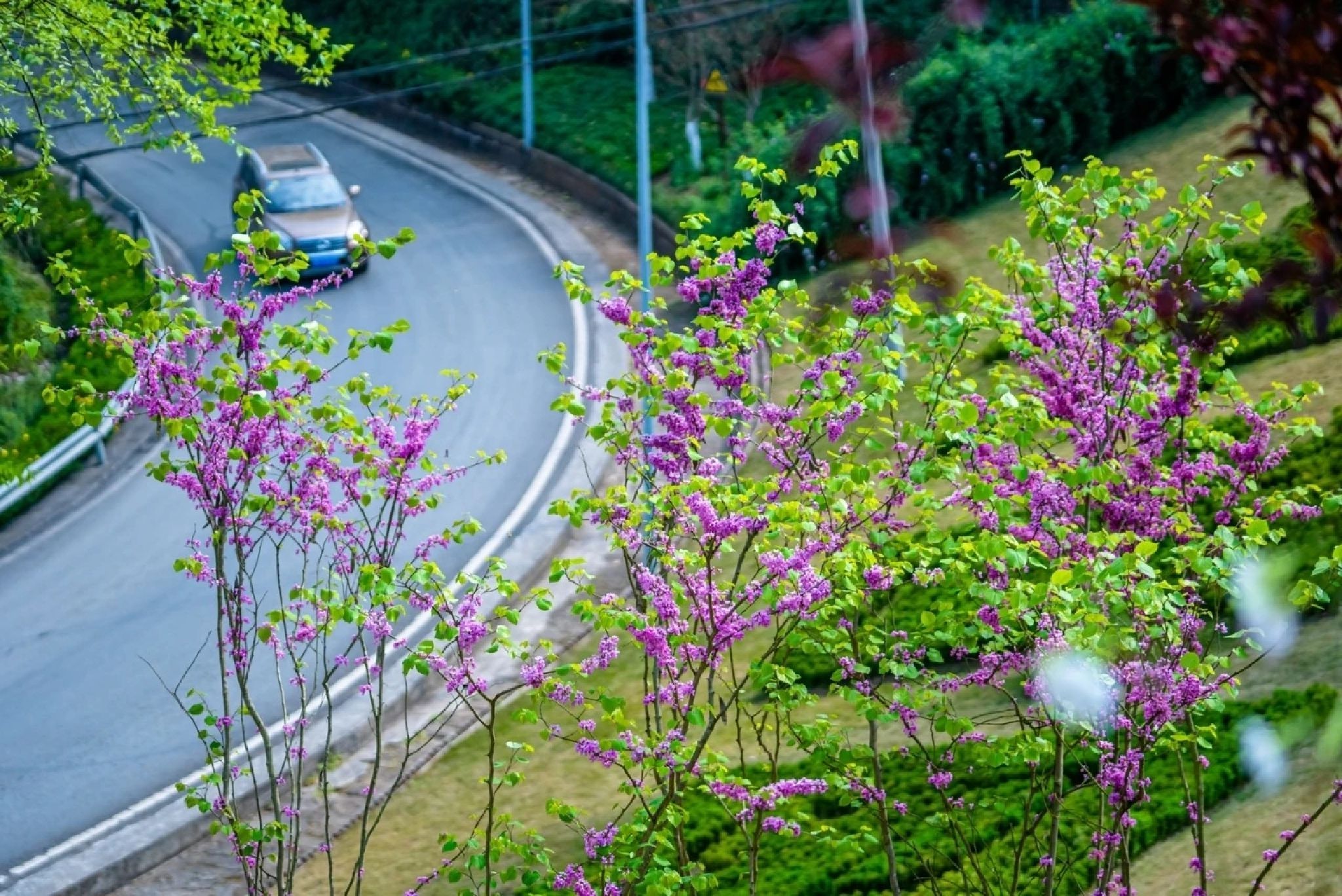 南山公园旅行图片 3