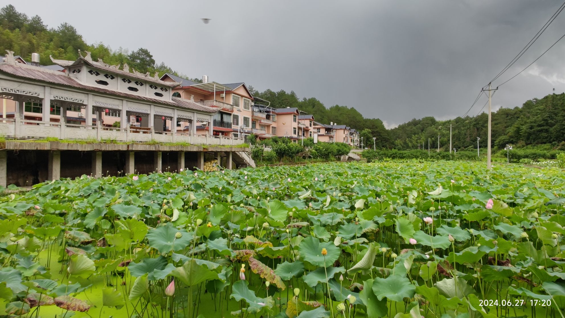 文秀湖公园旅行图片 2