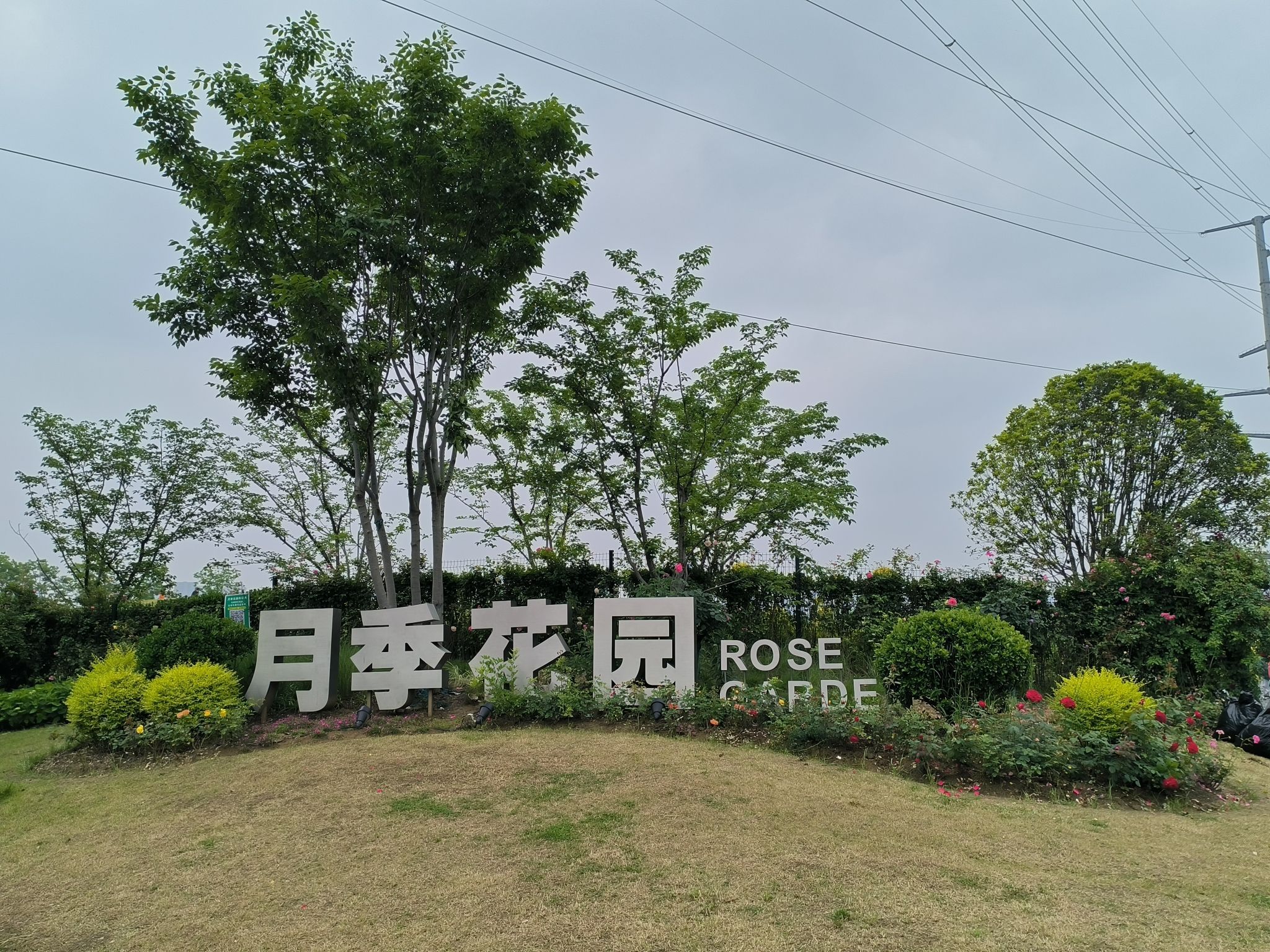 金银湖月季花园旅行图片 1