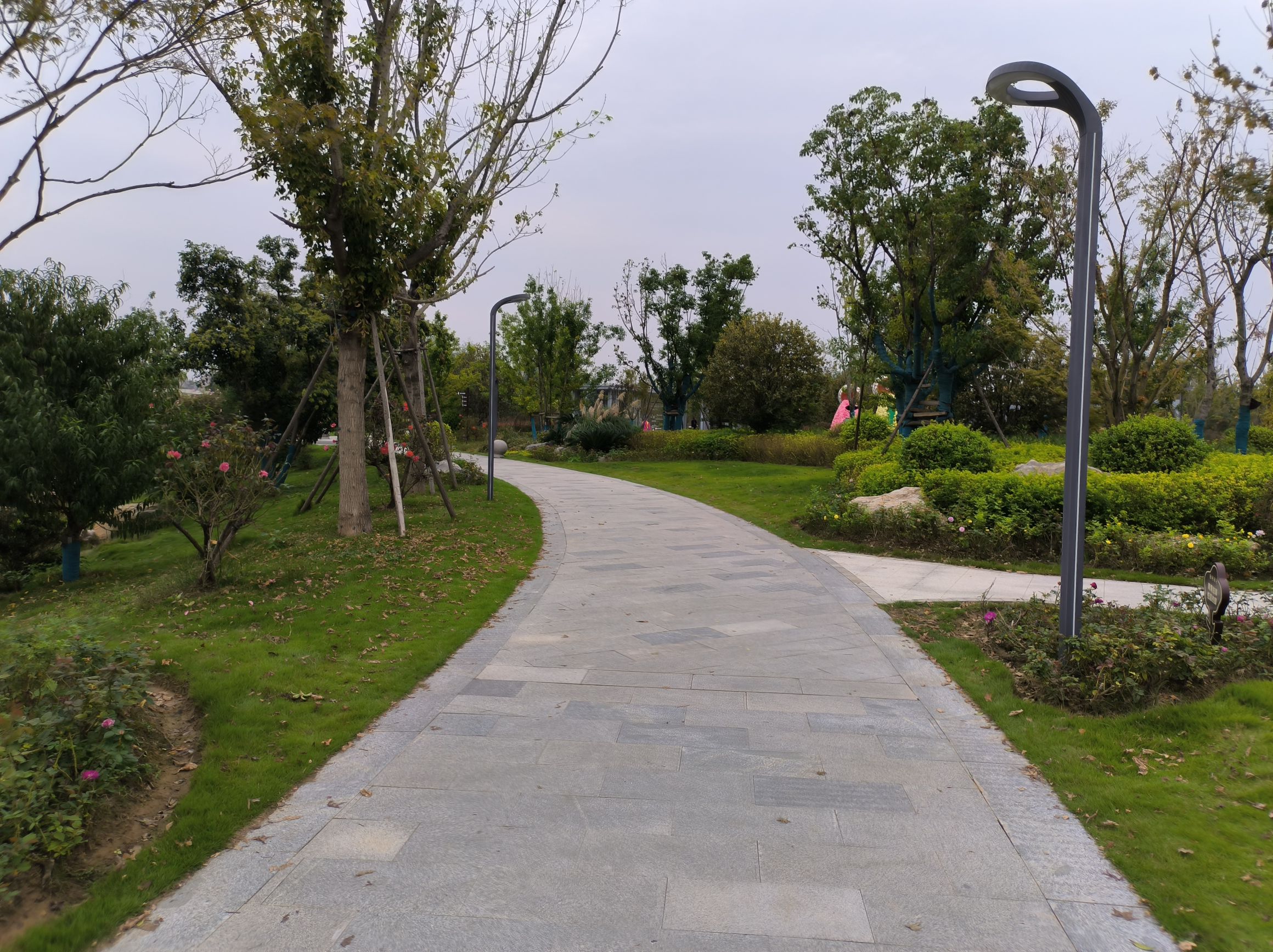 界首花博园旅行图片 2