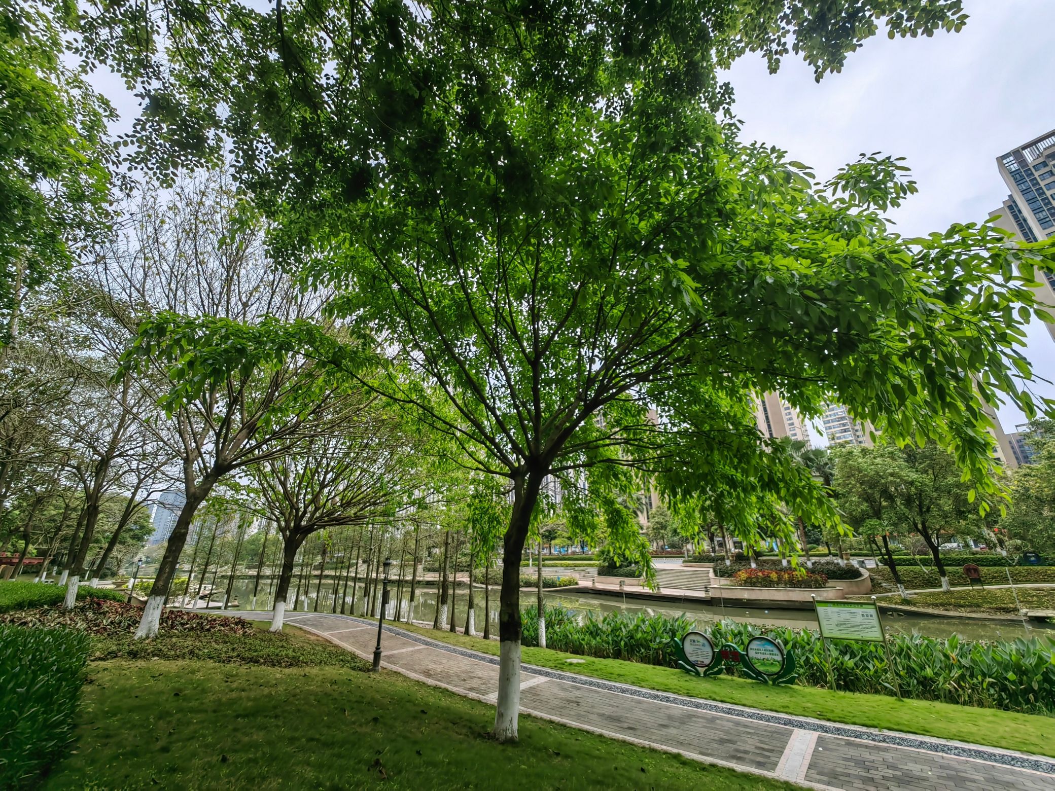 北江凤凰公园旅行图片 2