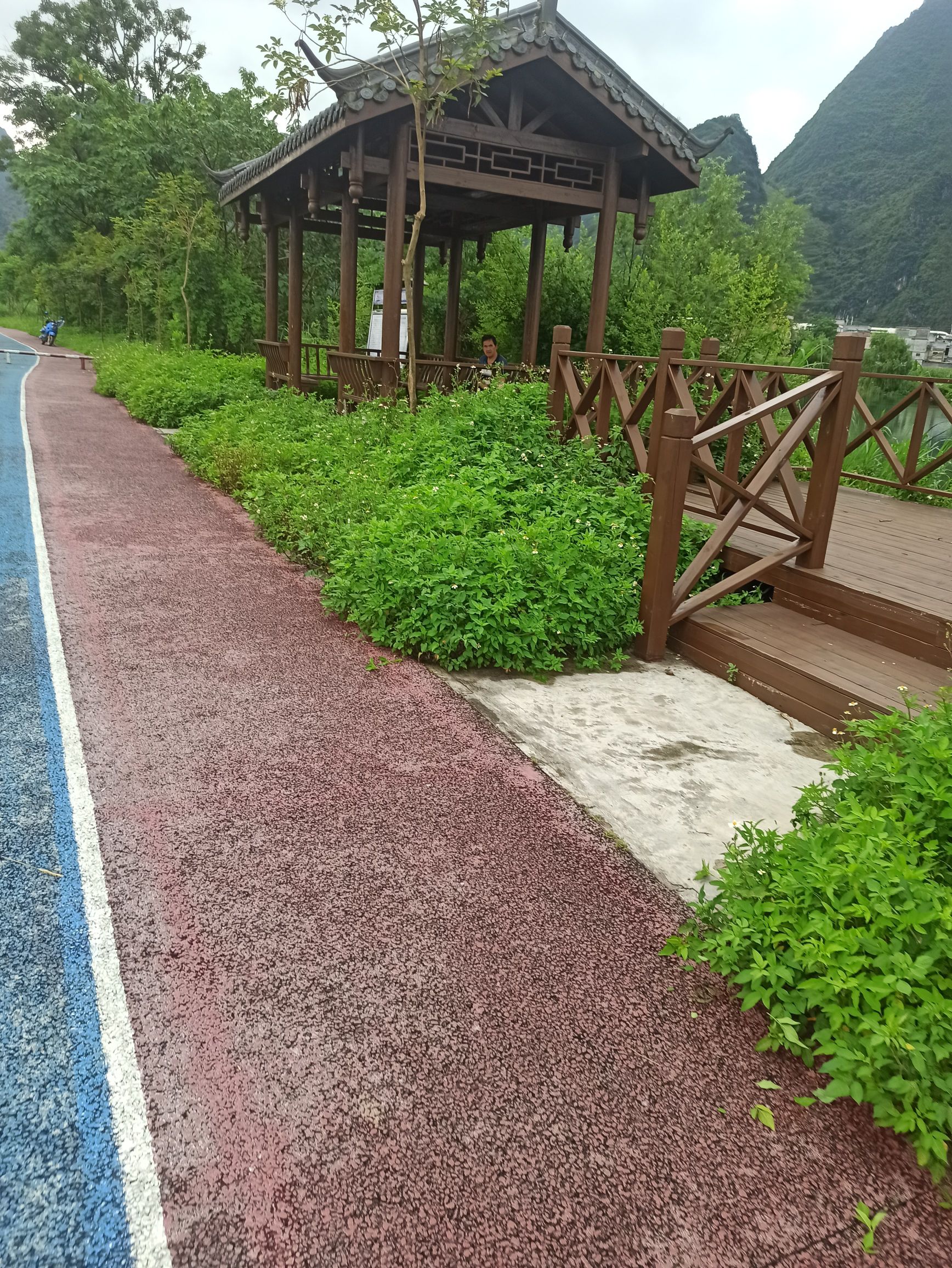 海菜花观赏基地旅行图片 3