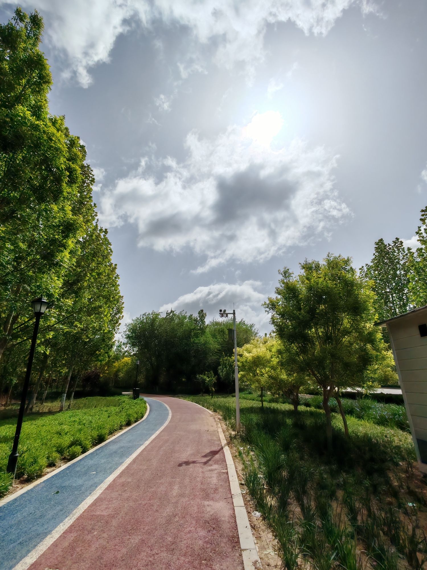 故城县植物园旅行图片 1