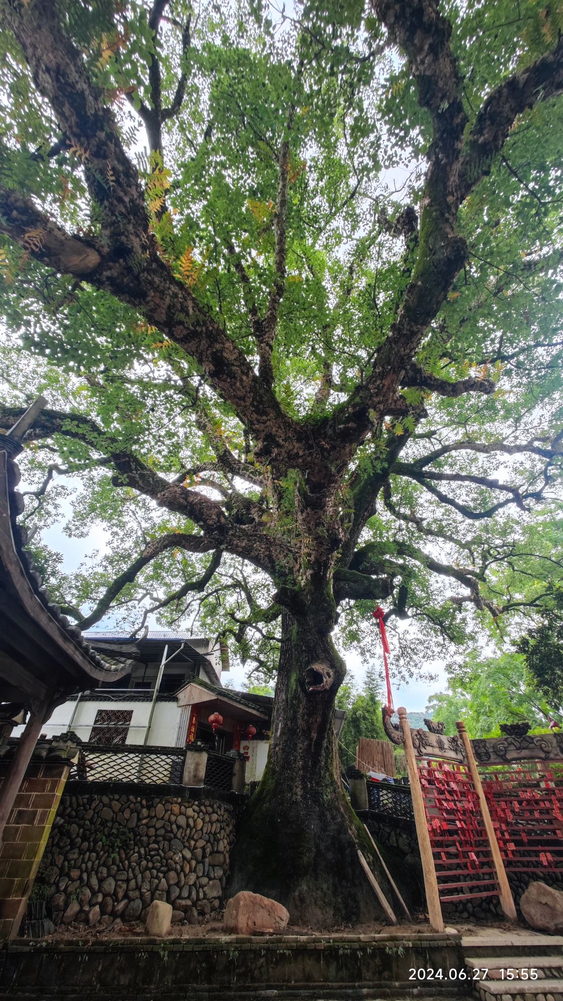 文秀湖公园旅行图片 1