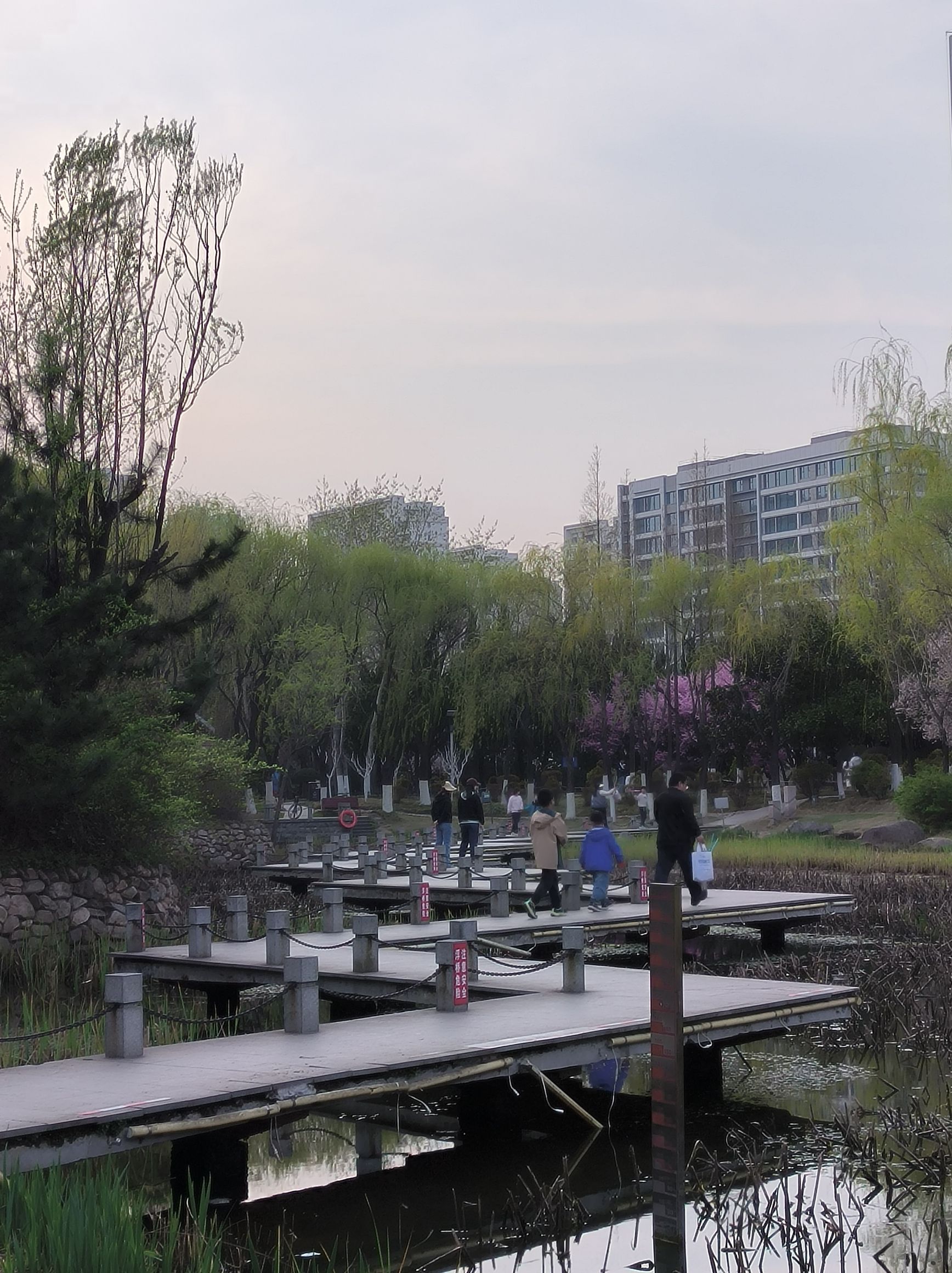 海曲园旅行图片 3