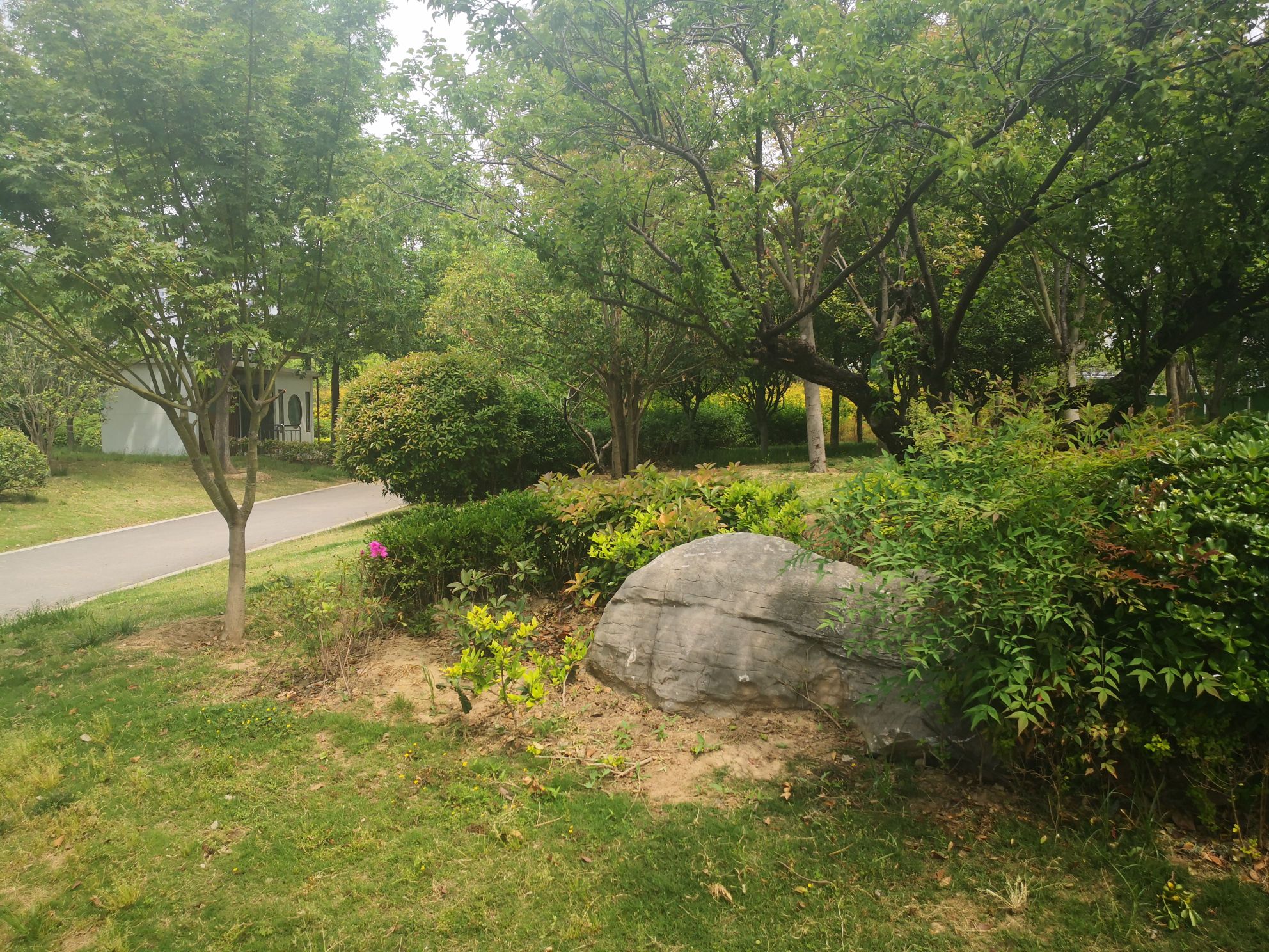 长江公园旅行图片 1