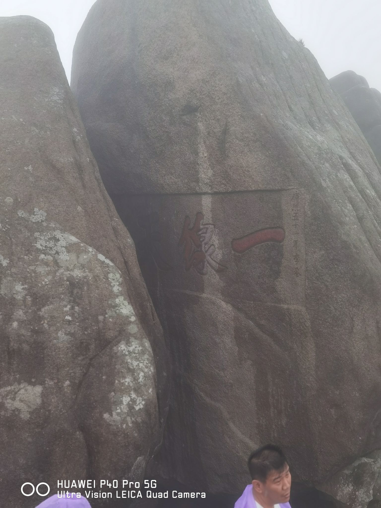 文锋园旅行图片 1