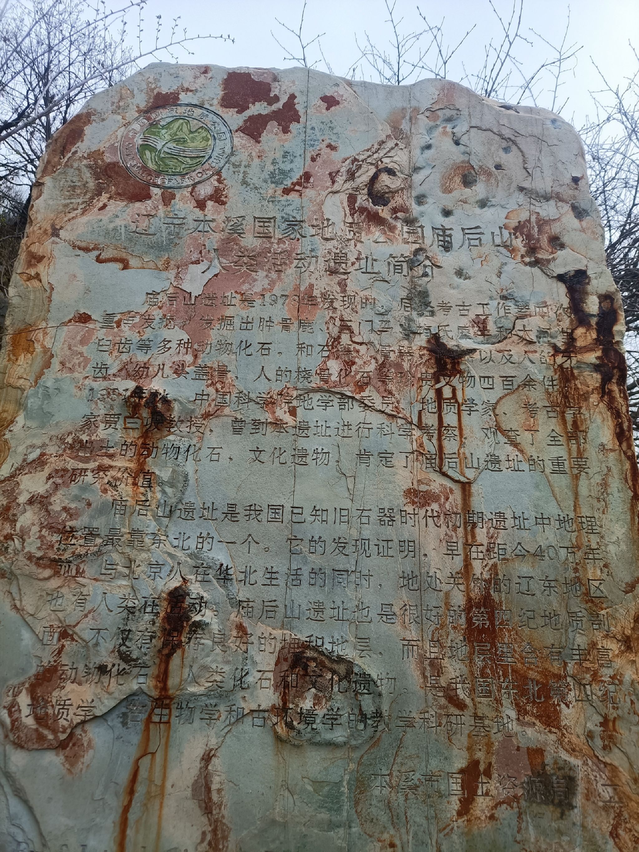 庙后山遗址旅行图片 1