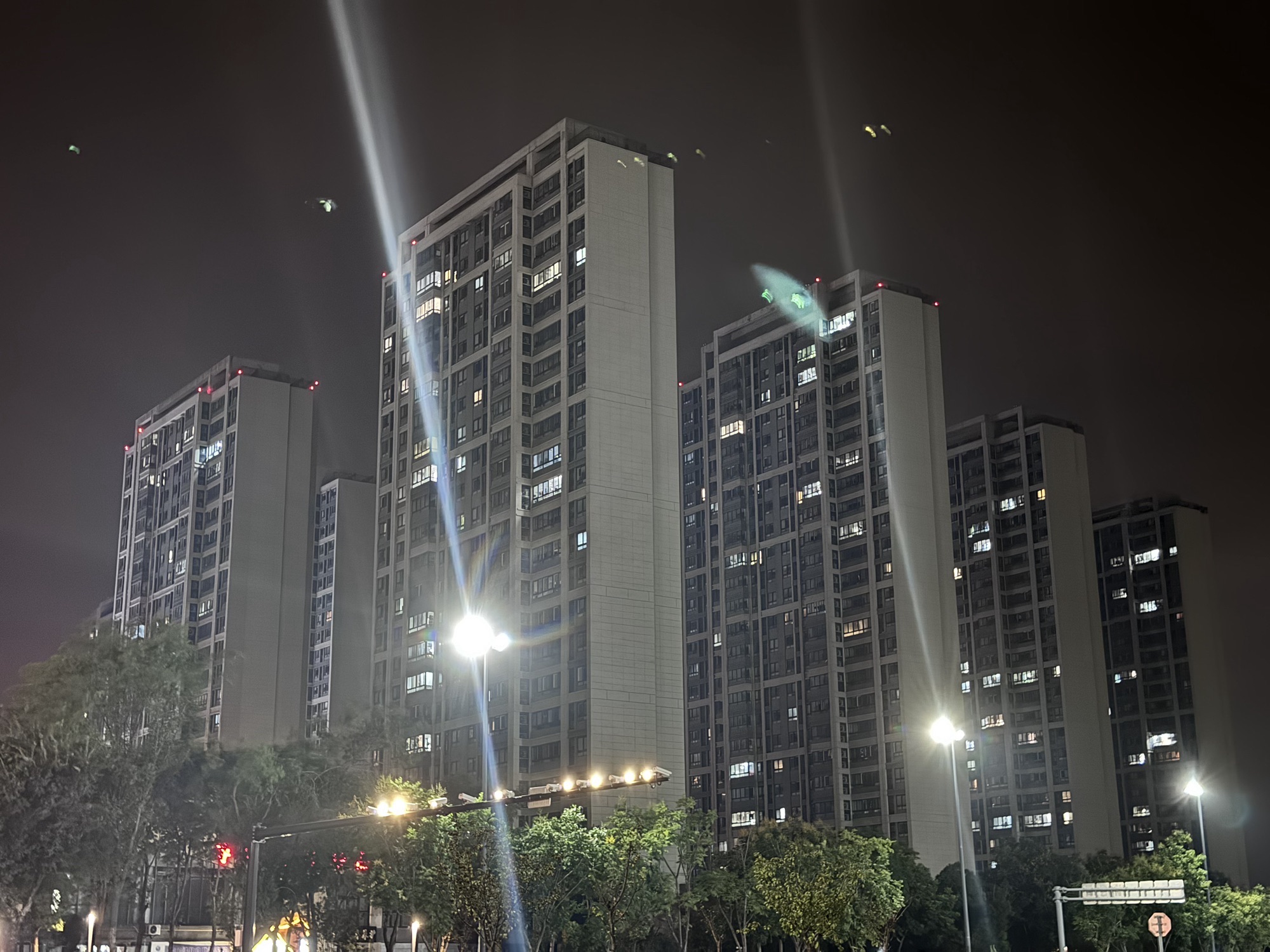 月鹭湖公园旅行图片 3