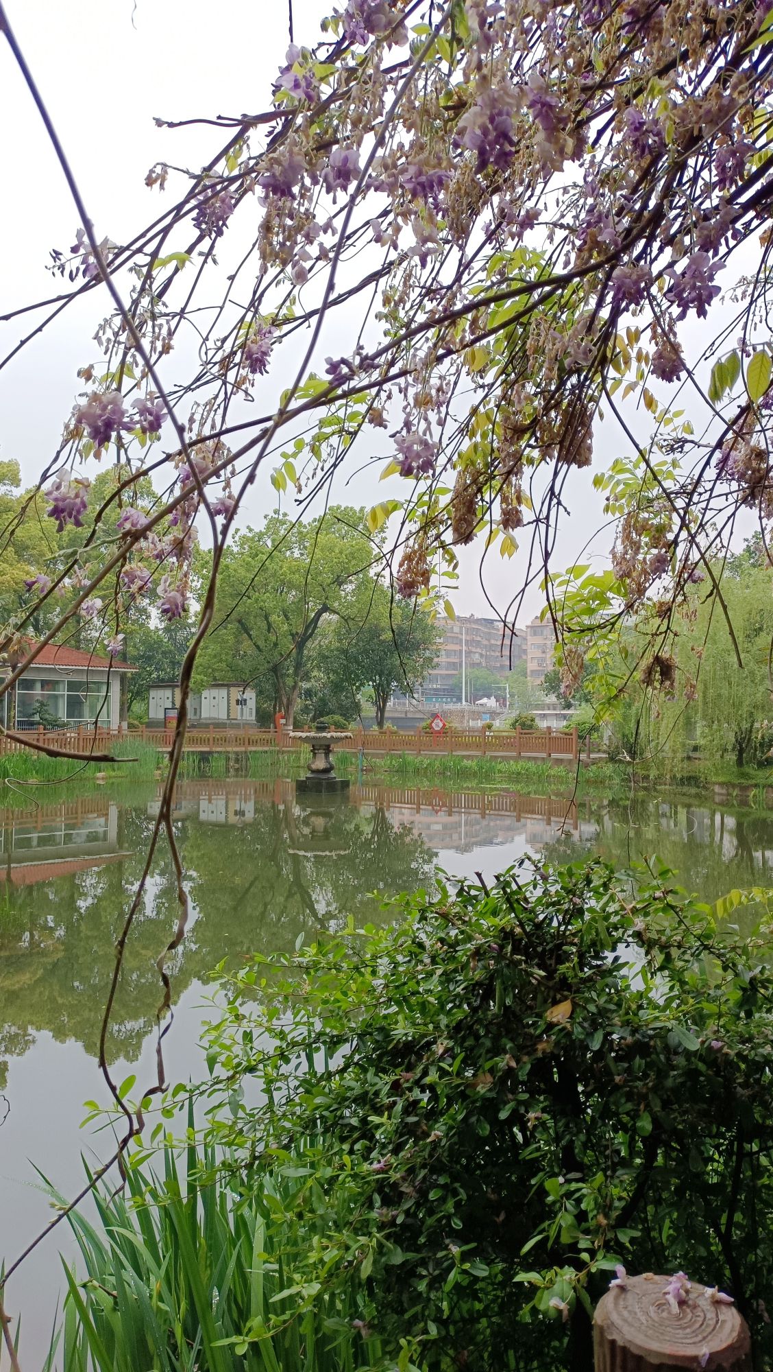 曾国藩诗文岛旅行图片 3