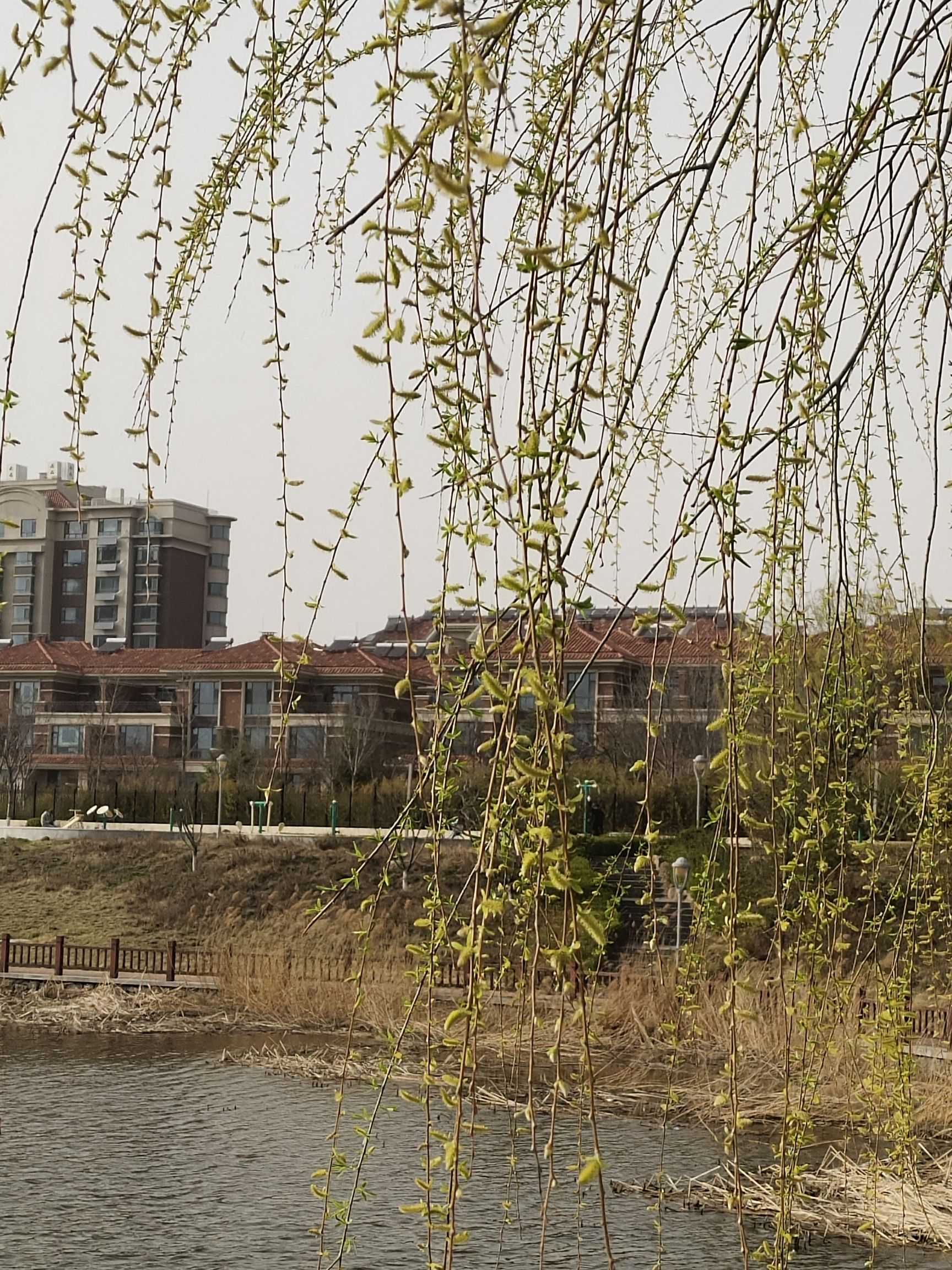 八一广场旅行图片 2