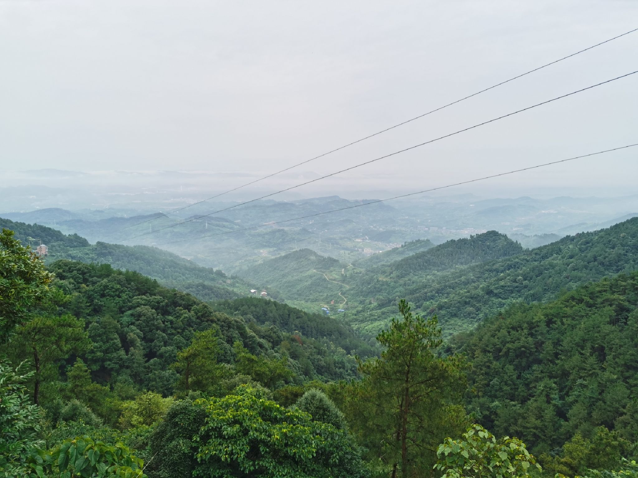铁山国家森林公园旅行图片 1