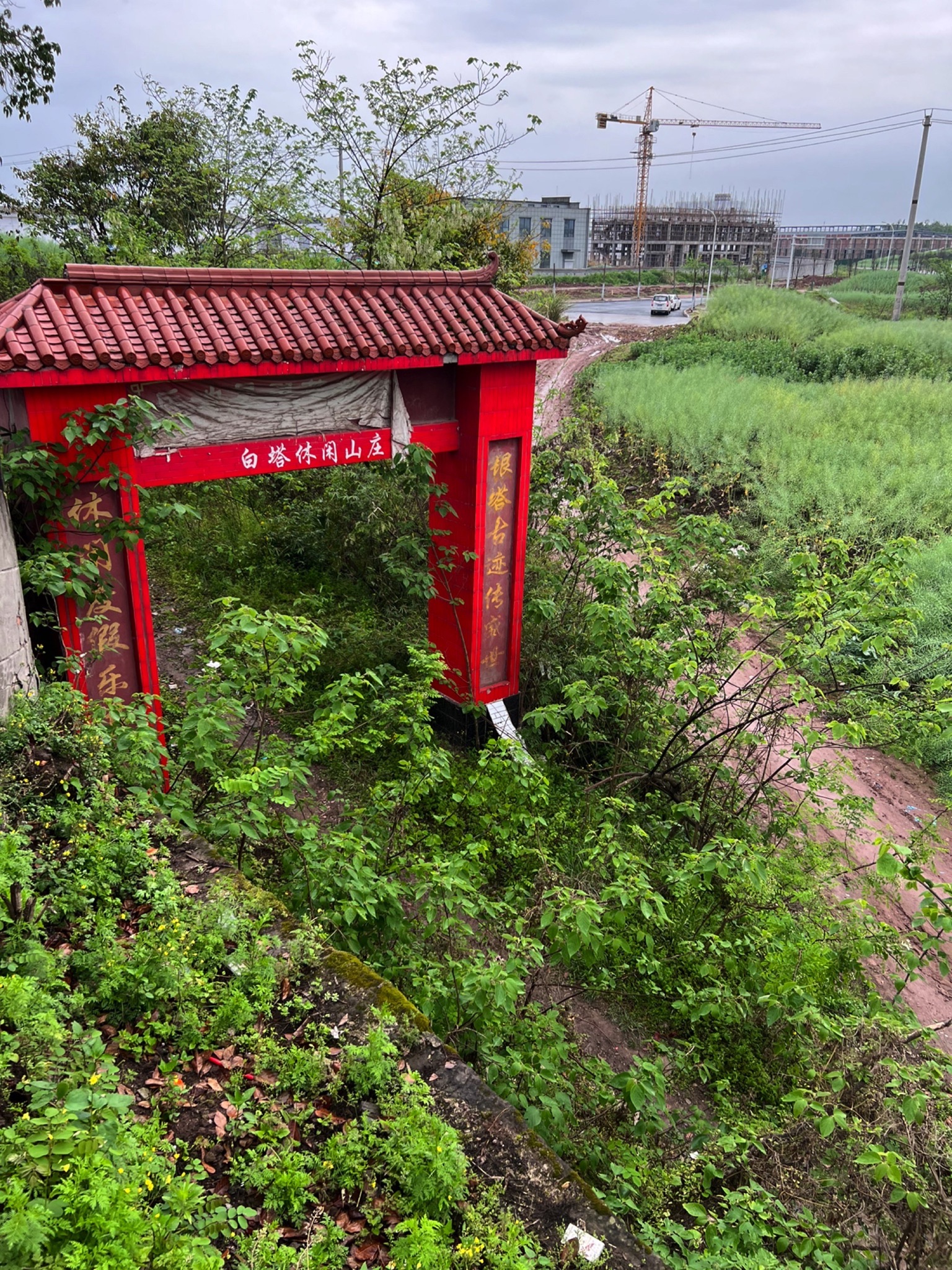 岳池白塔旅行图片 1