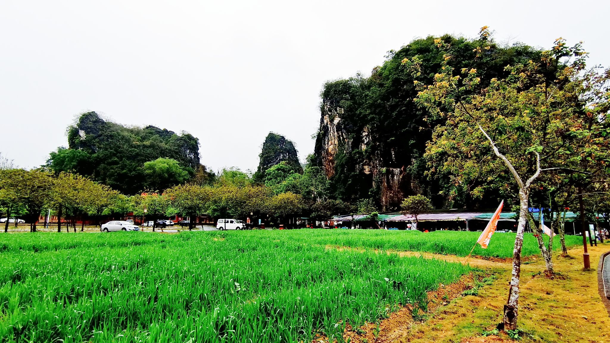 英西峰林·峰林晓镇旅行图片 2