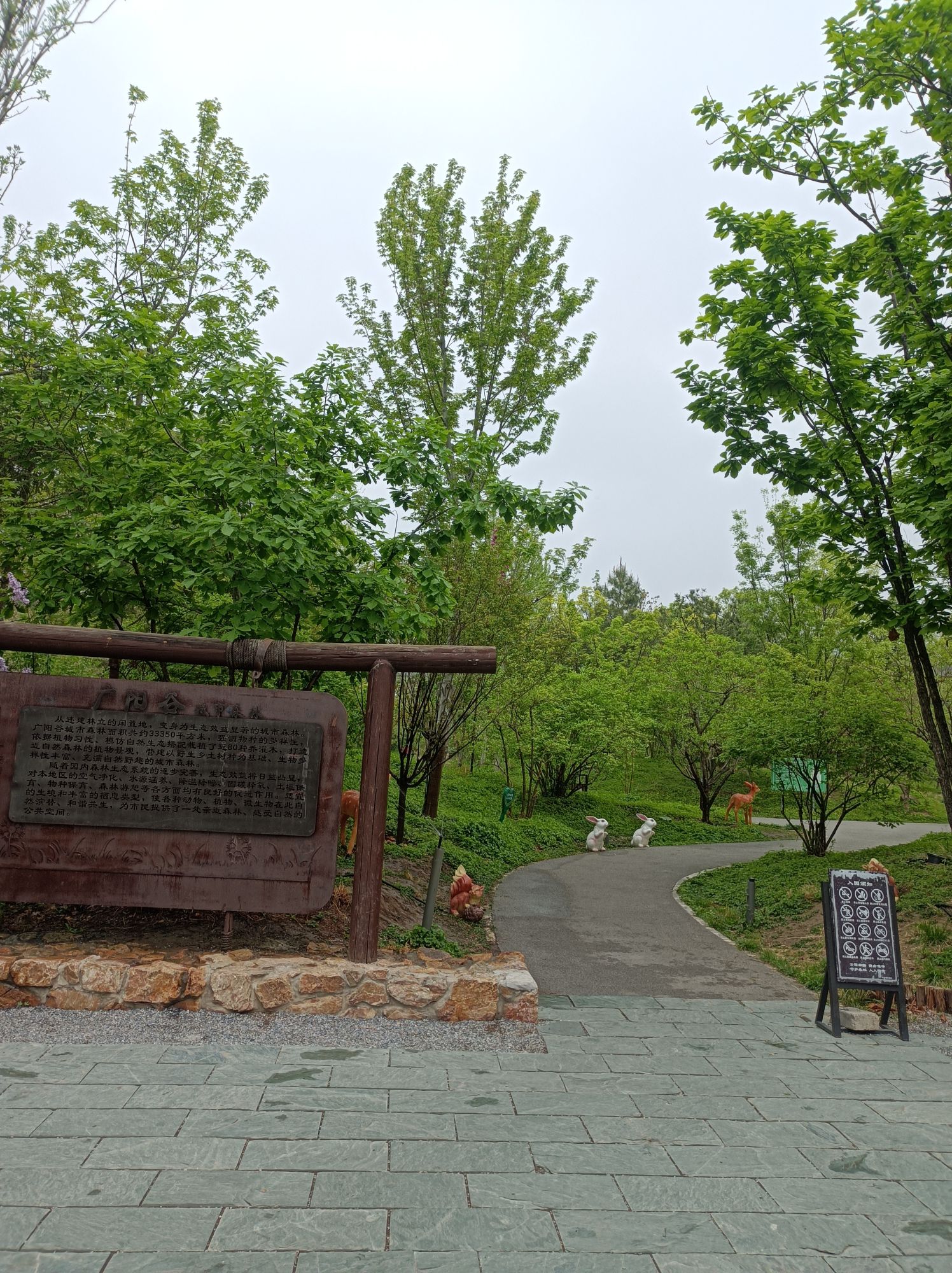 广阳谷城市森林旅行图片 2