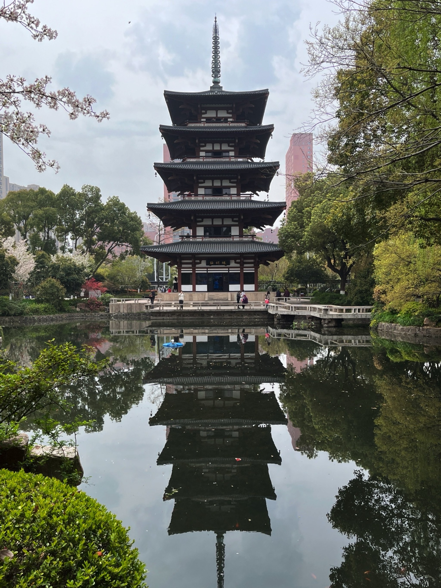 友好园旅行图片 1