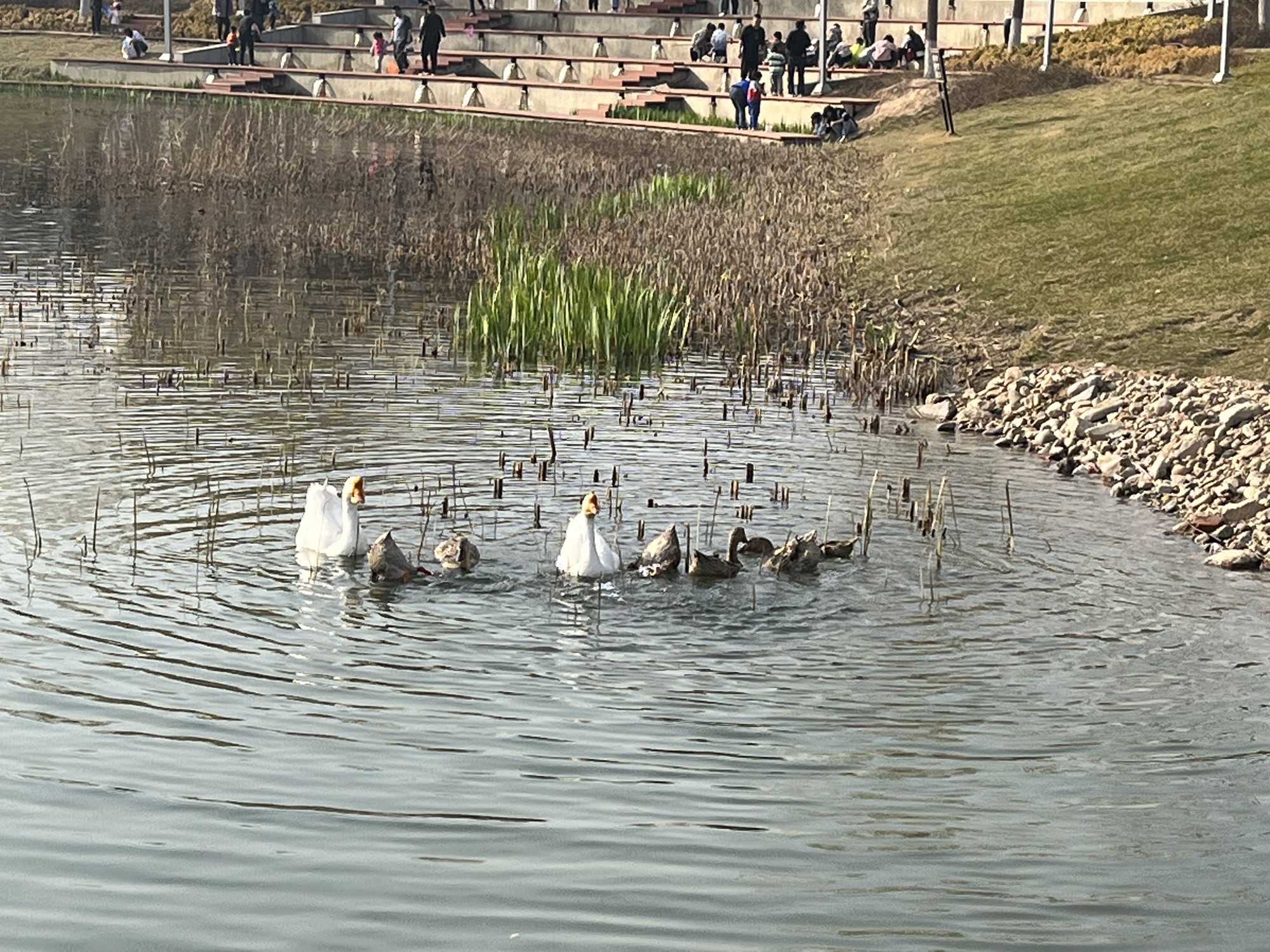 吉祥湖旅行图片 2