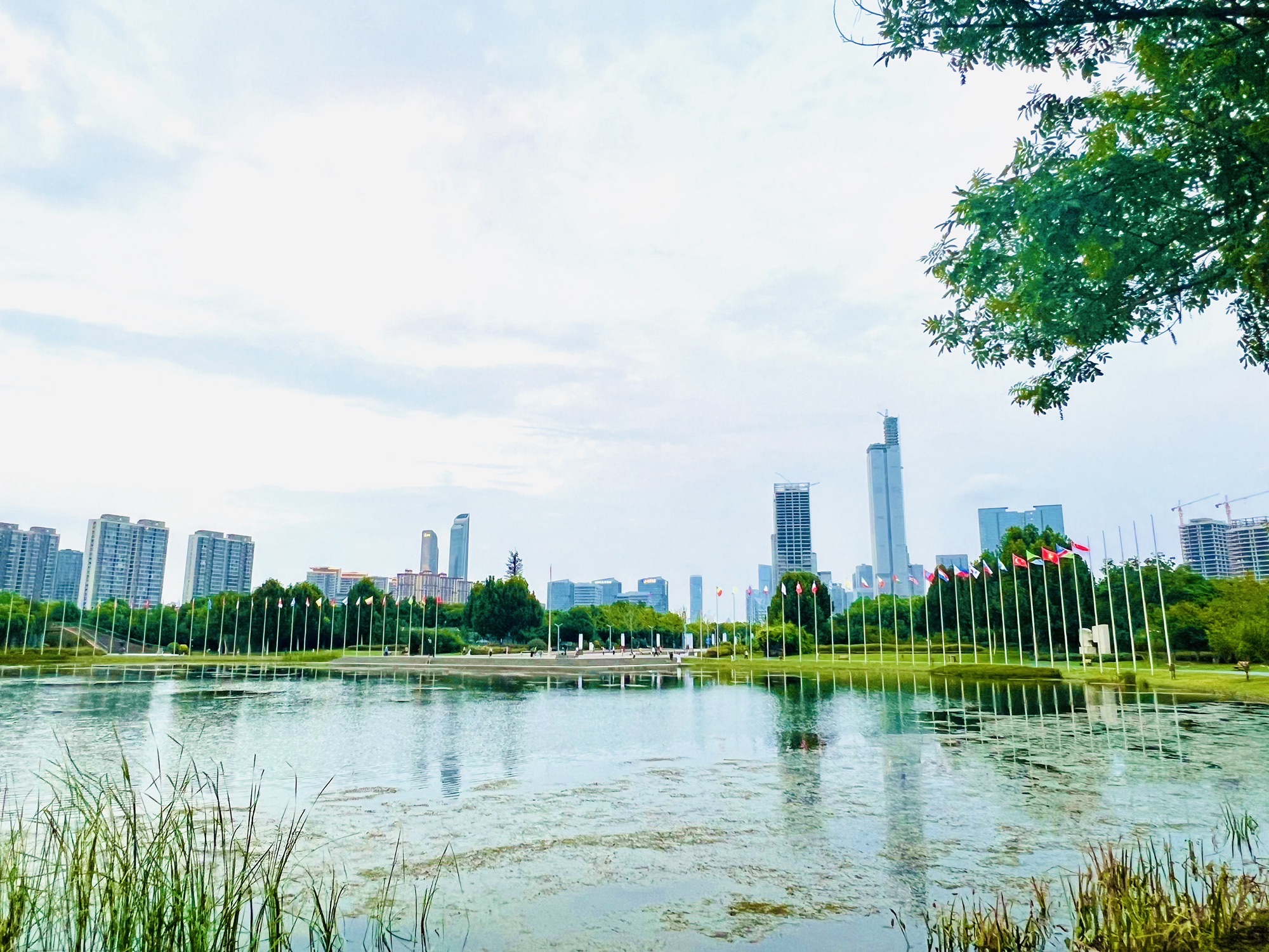 南京国际友谊公园旅行图片 3