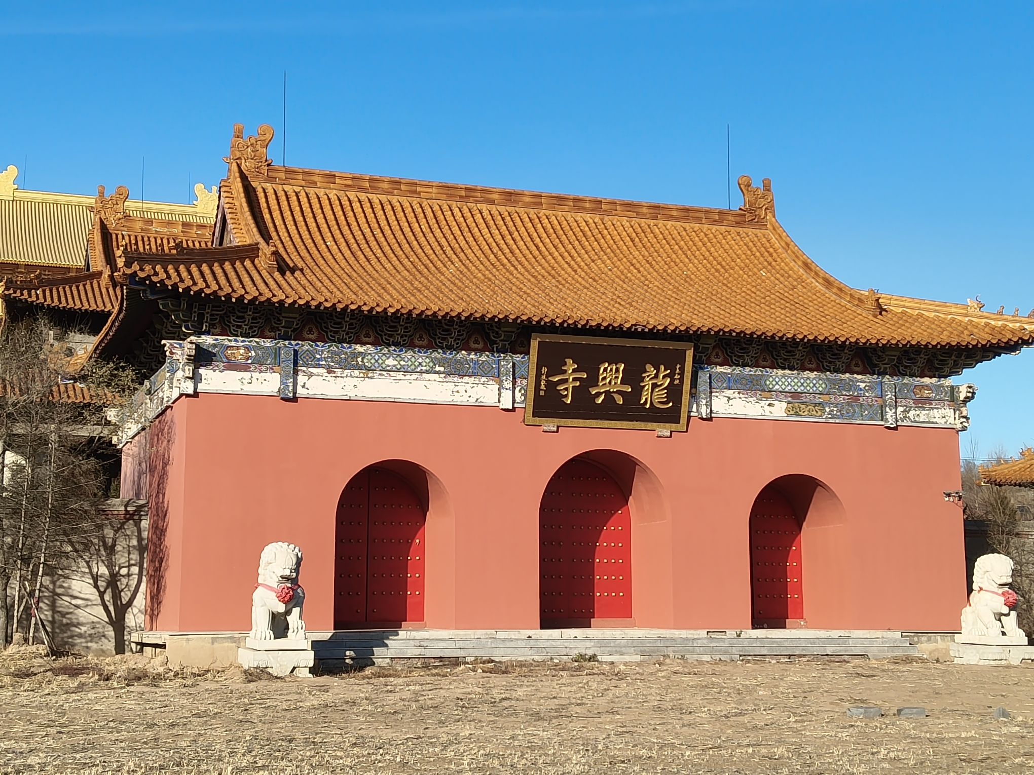 龙兴寺(暂停开放)实景照片