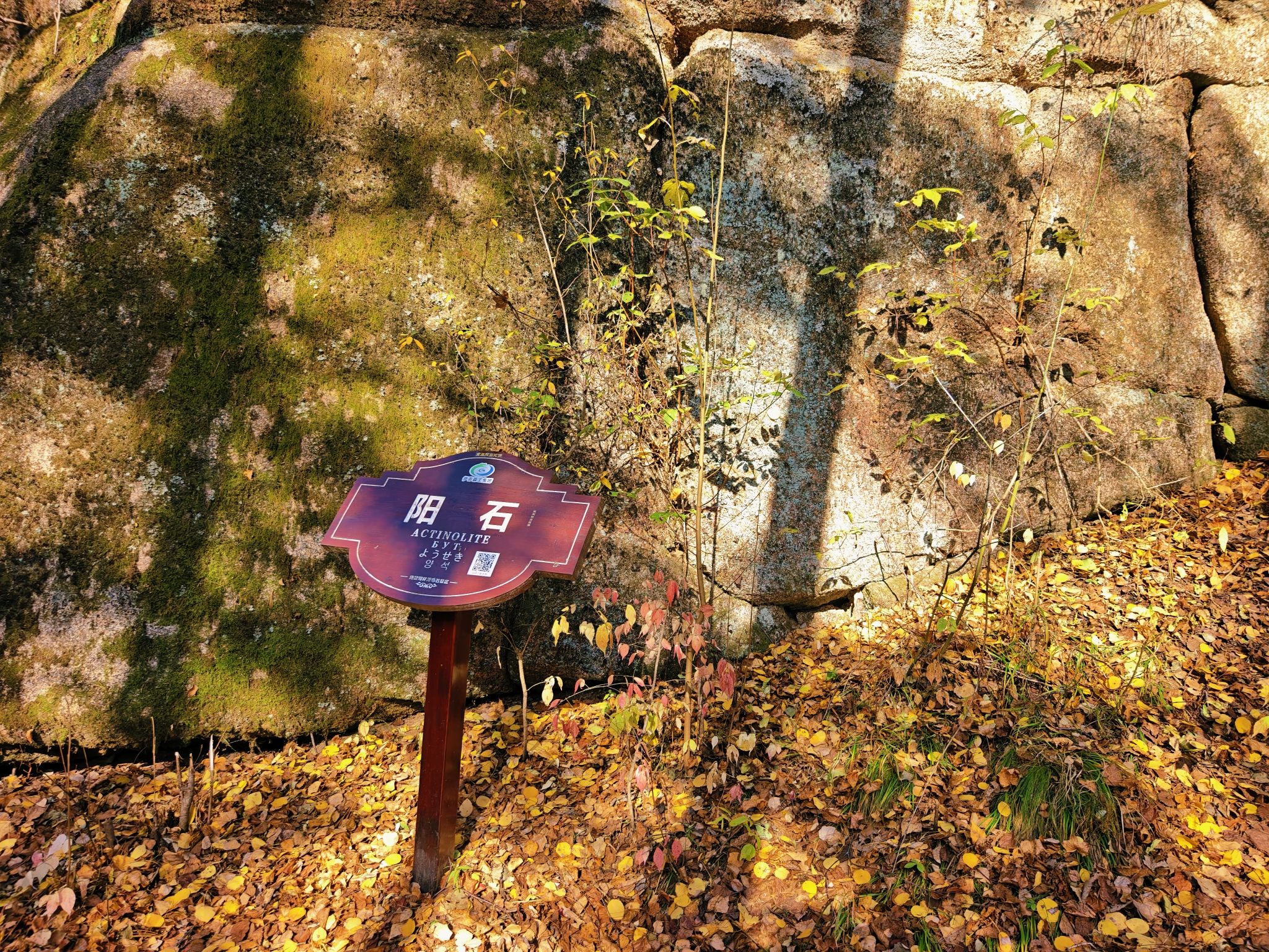 阳石
