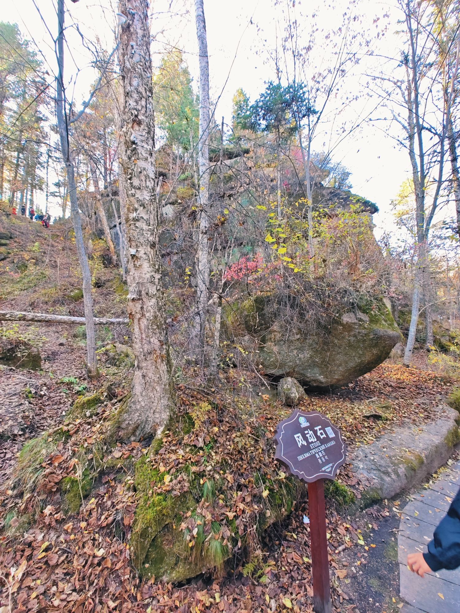 汤旺河林海奇石风景区-风动石