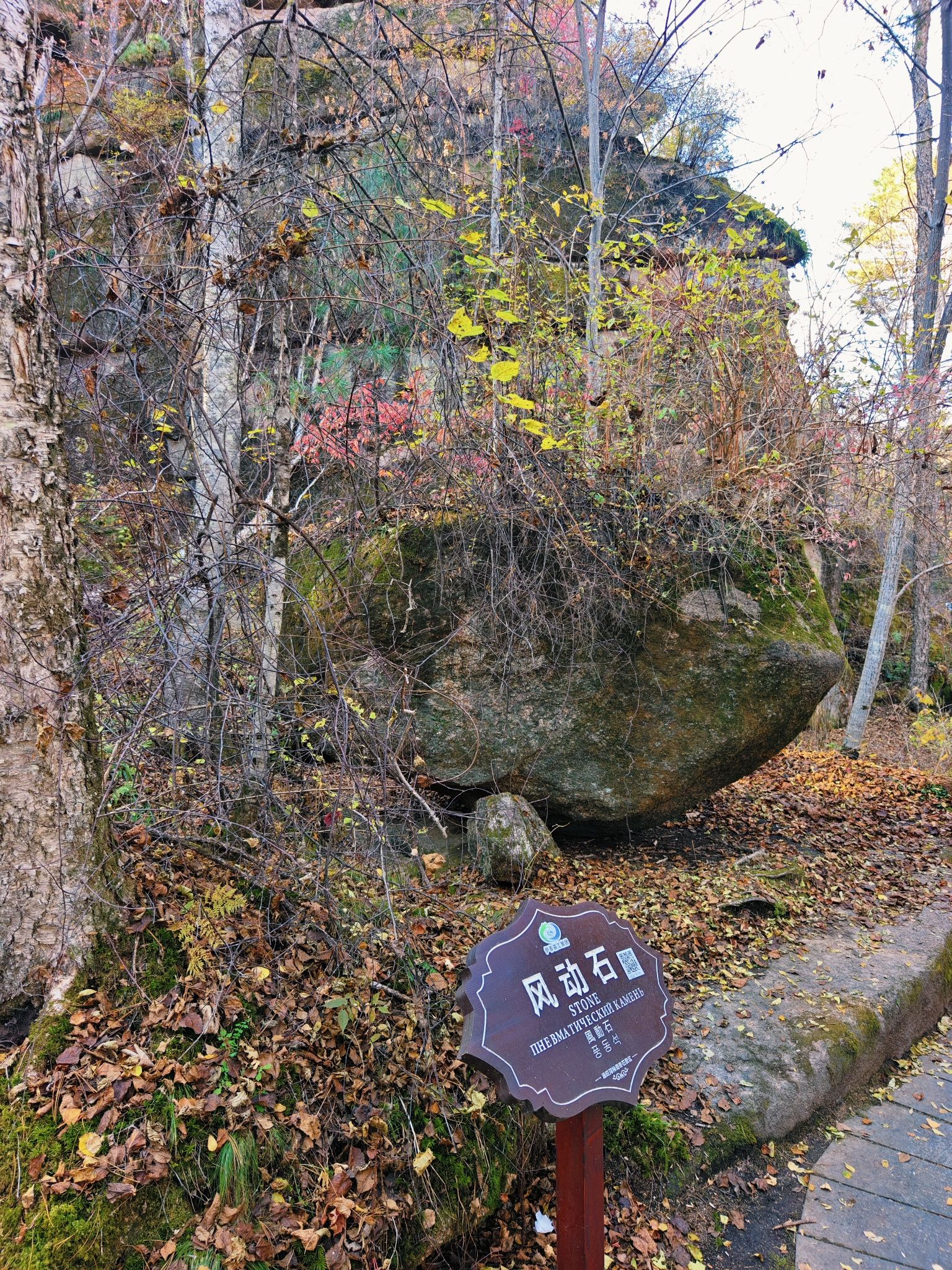 汤旺河林海奇石风景区-风动石