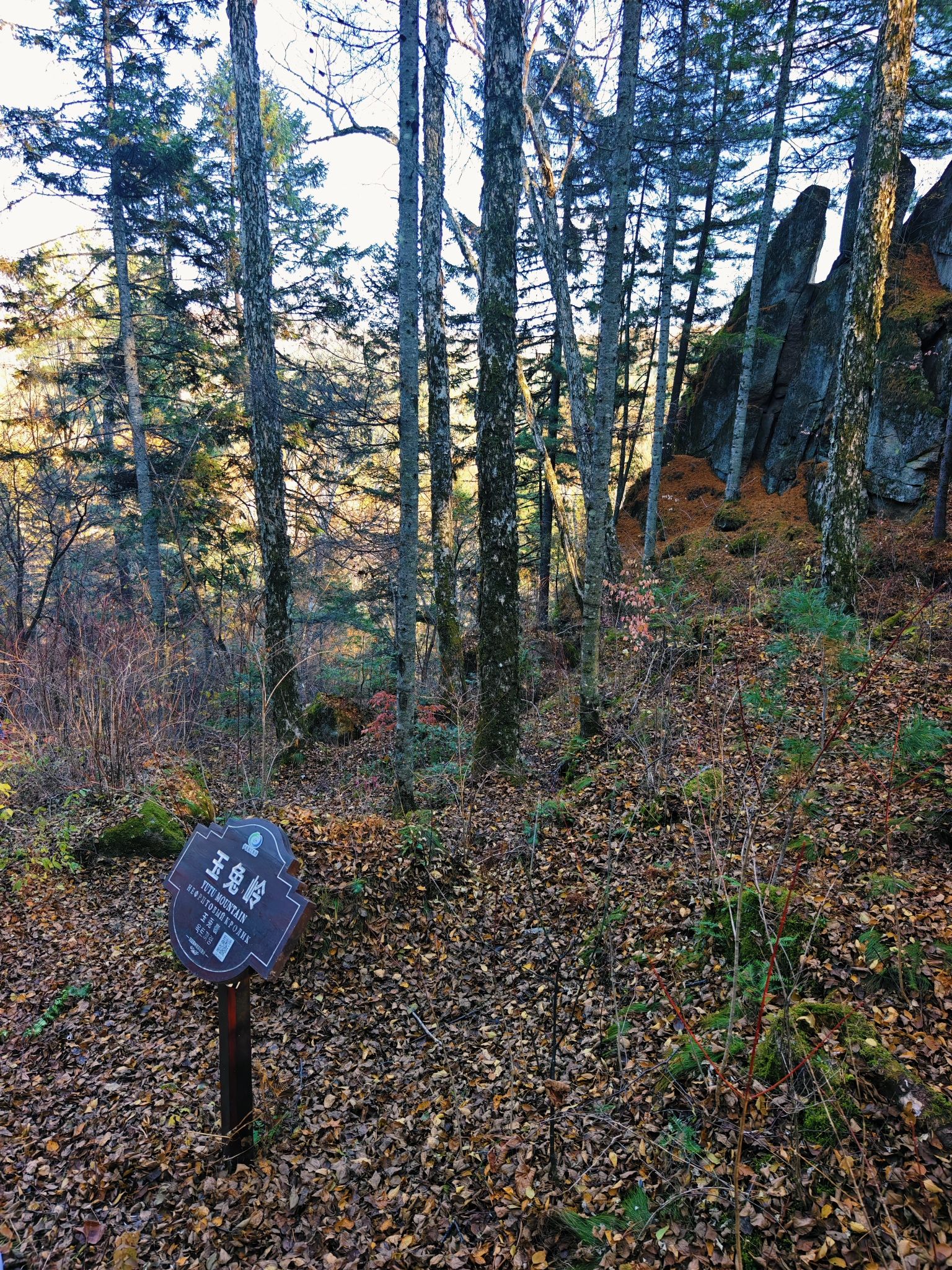 汤旺河林海奇石风景区-玉兔岭