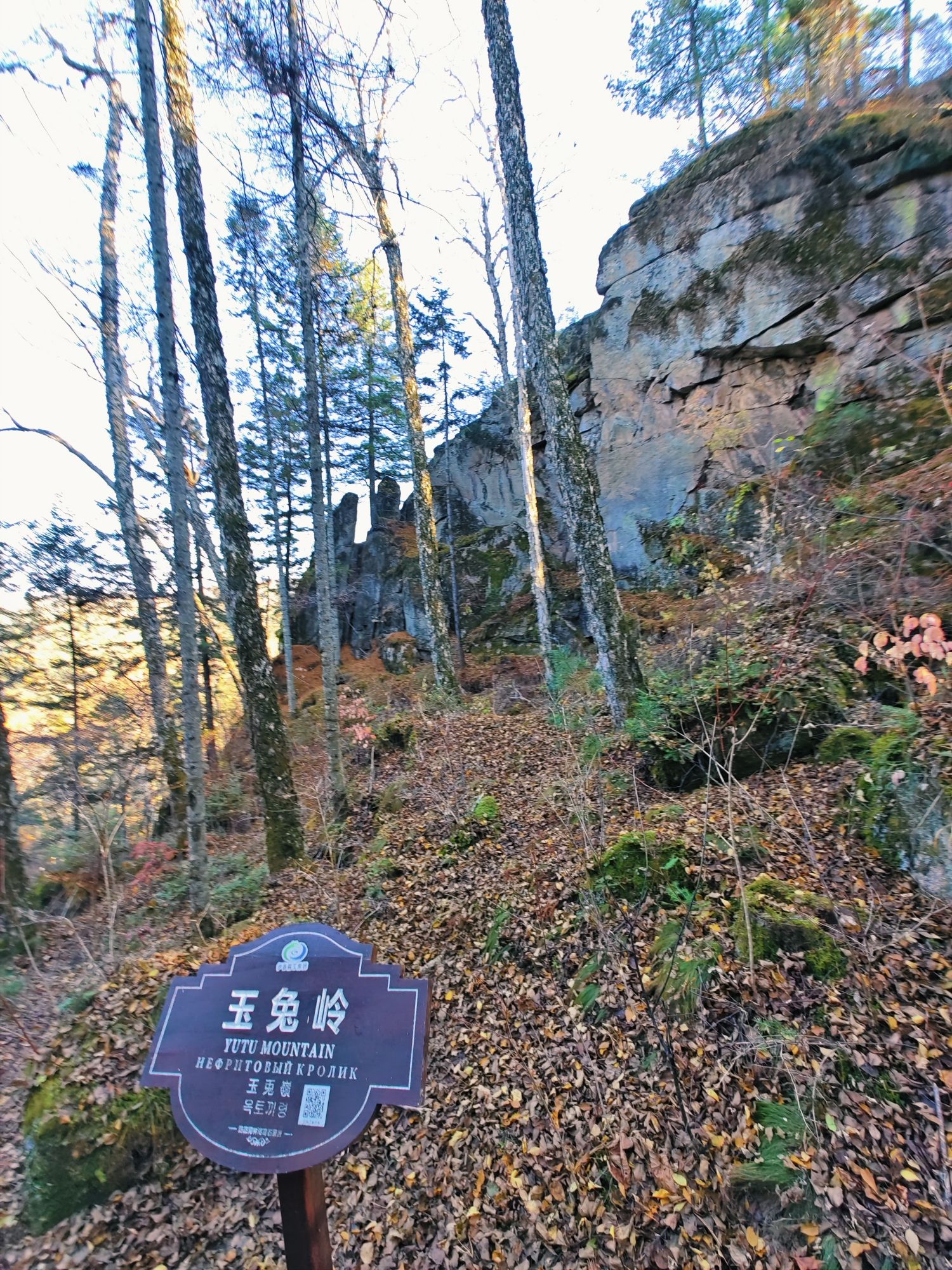 汤旺河林海奇石风景区-玉兔岭