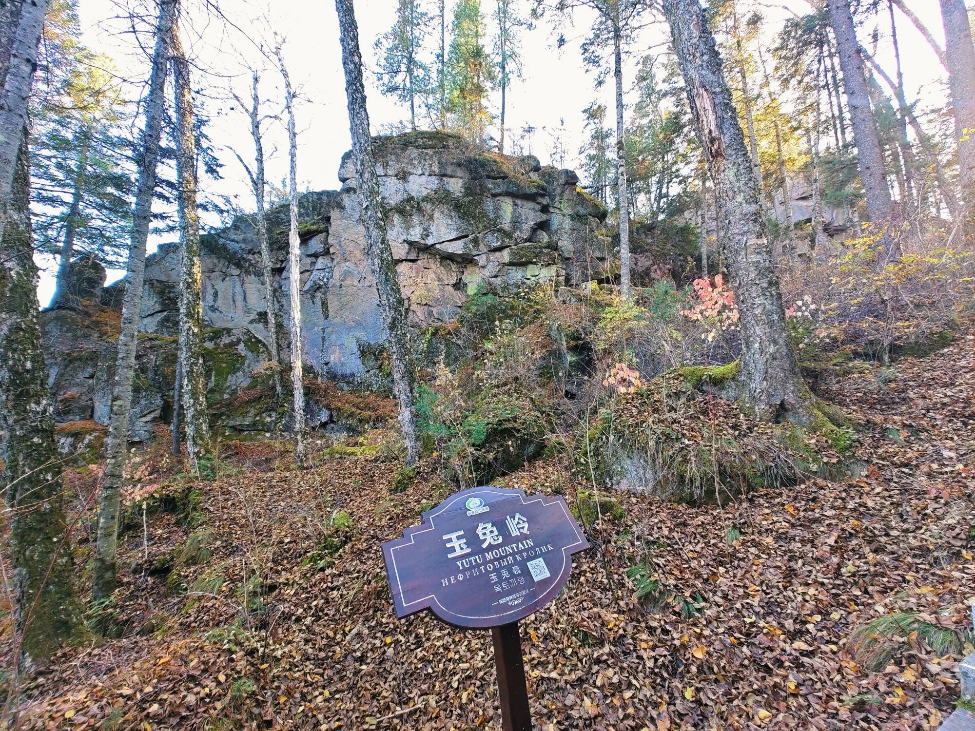 汤旺河林海奇石风景区-玉兔岭