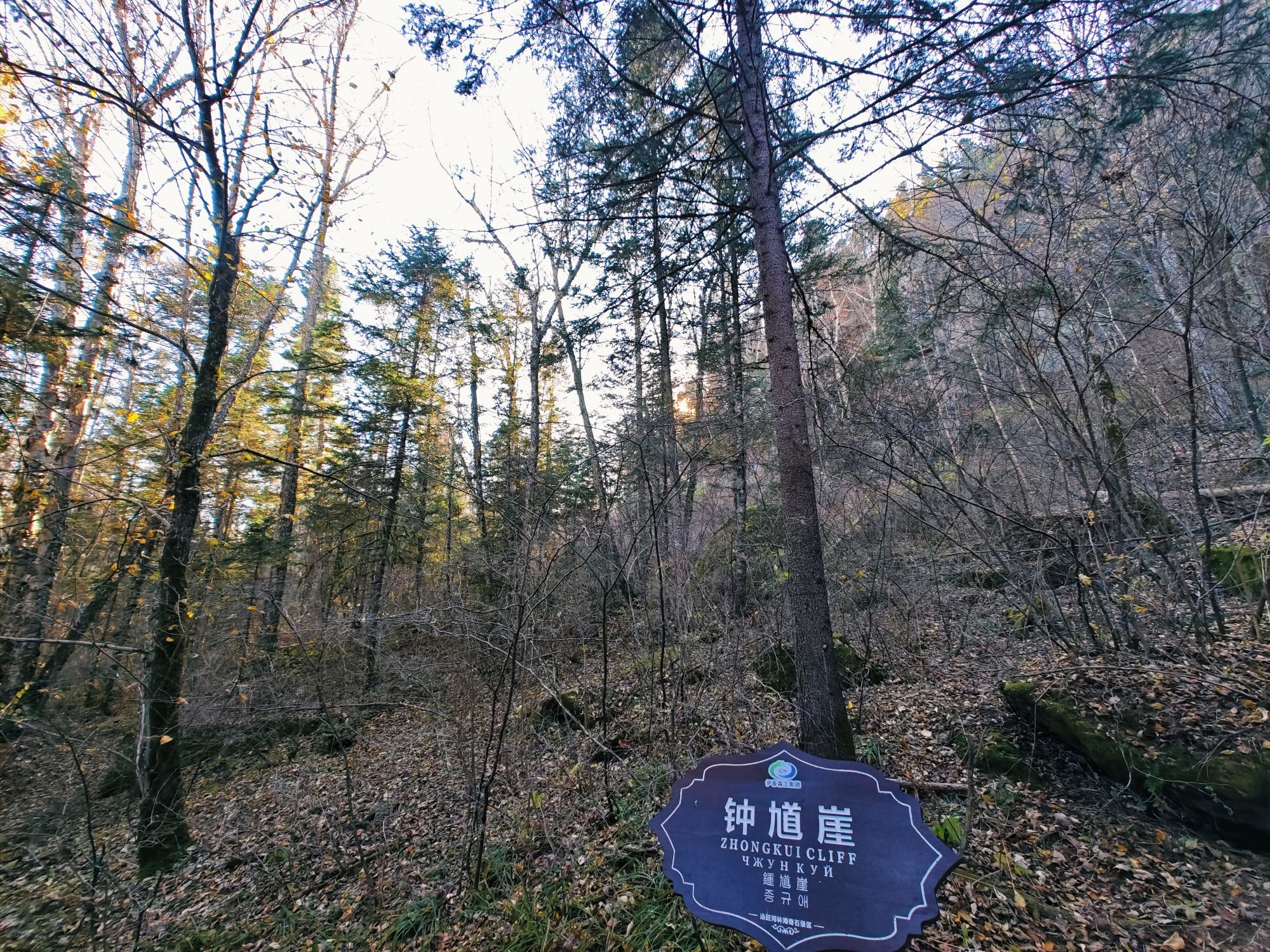 汤旺河林海奇石风景区-钟馗崖