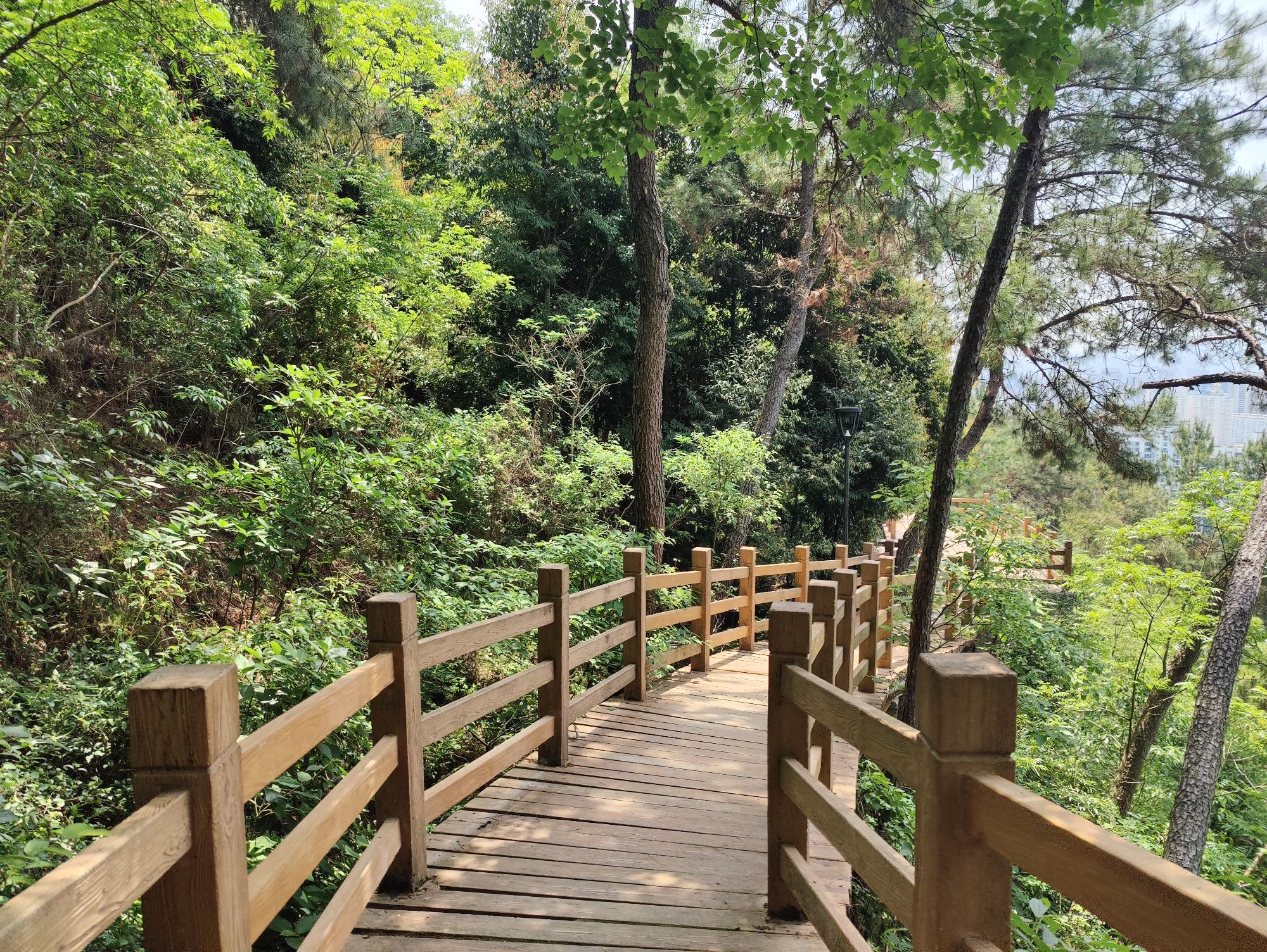 杨府山公园-观景台