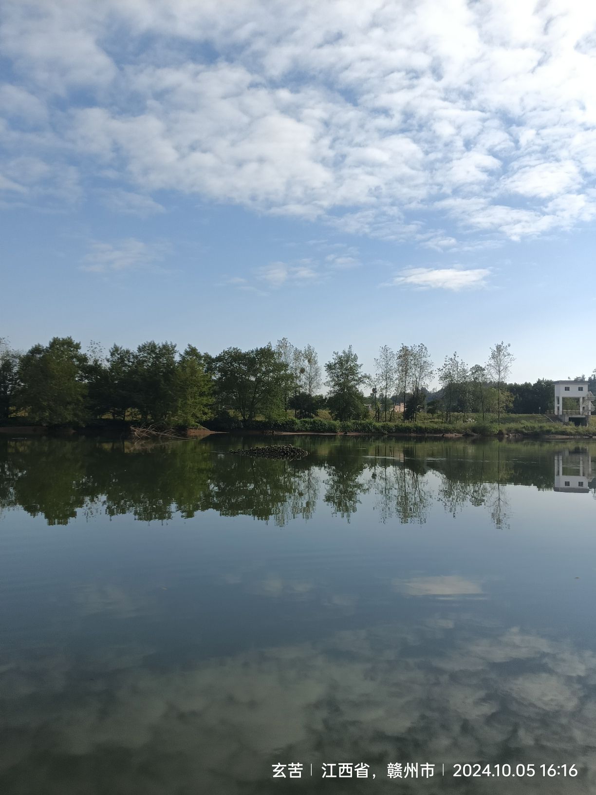 阳明阁旅行图片 3