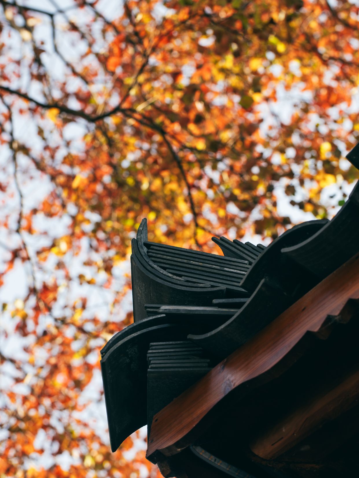 东漓古村景区旅行图片 3