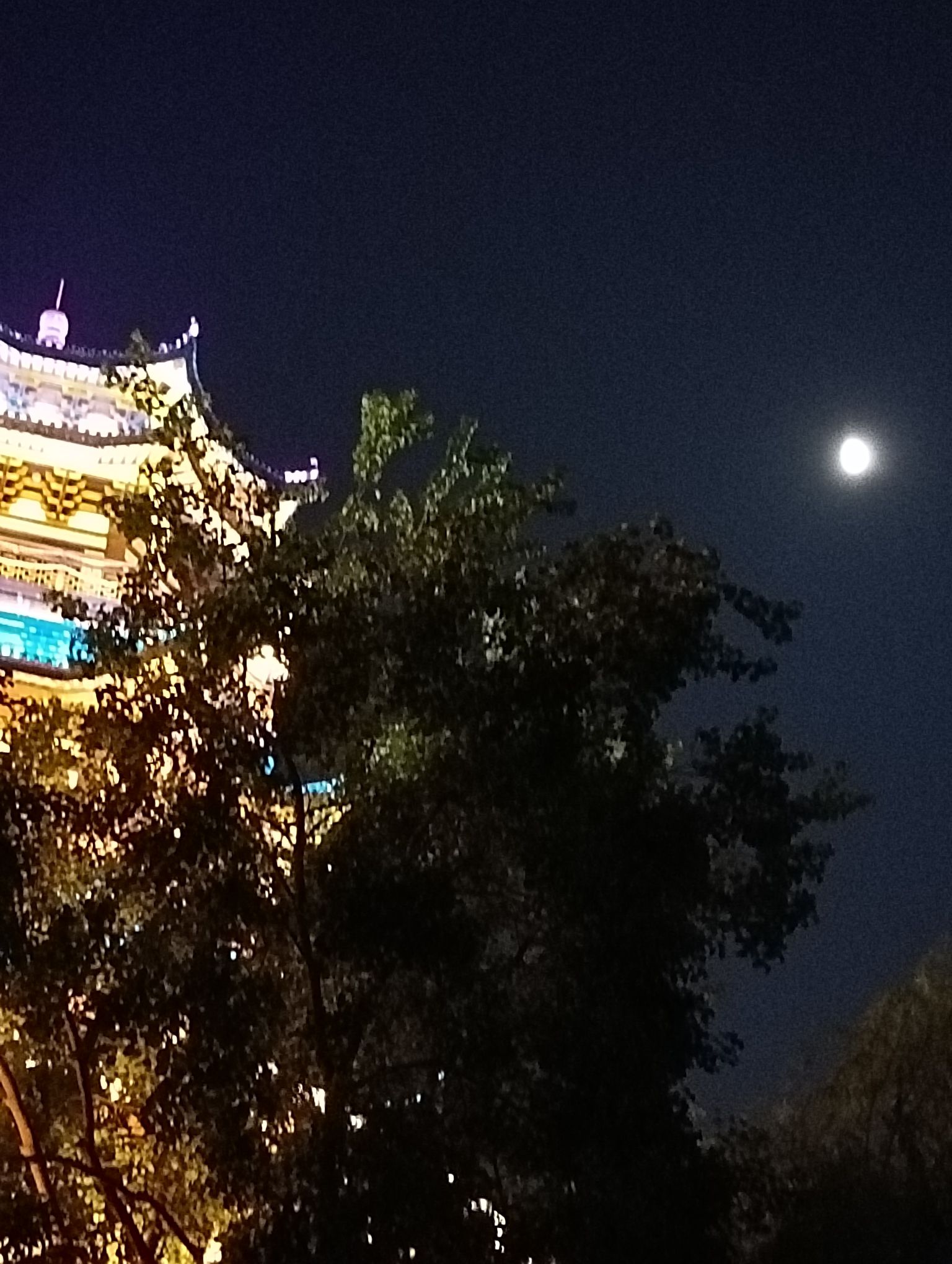 分袂亭旅行图片 1